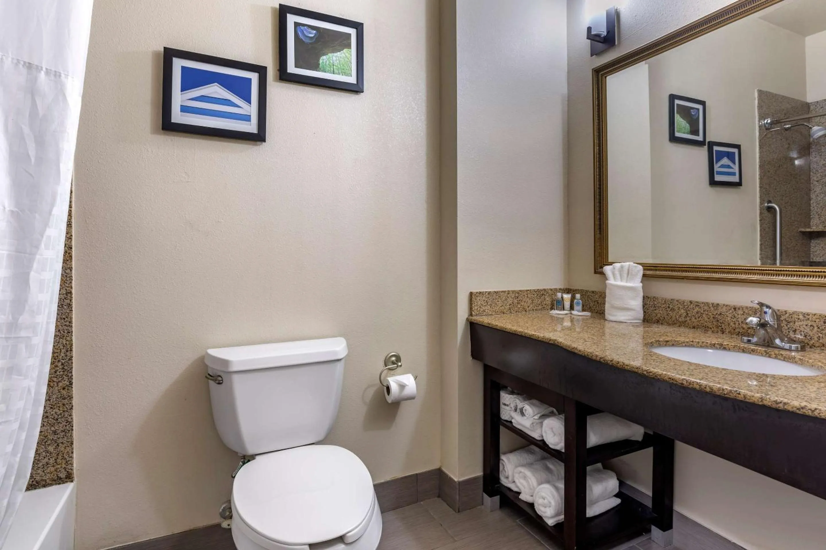 Bedroom in Comfort Suites Shreveport West I-20