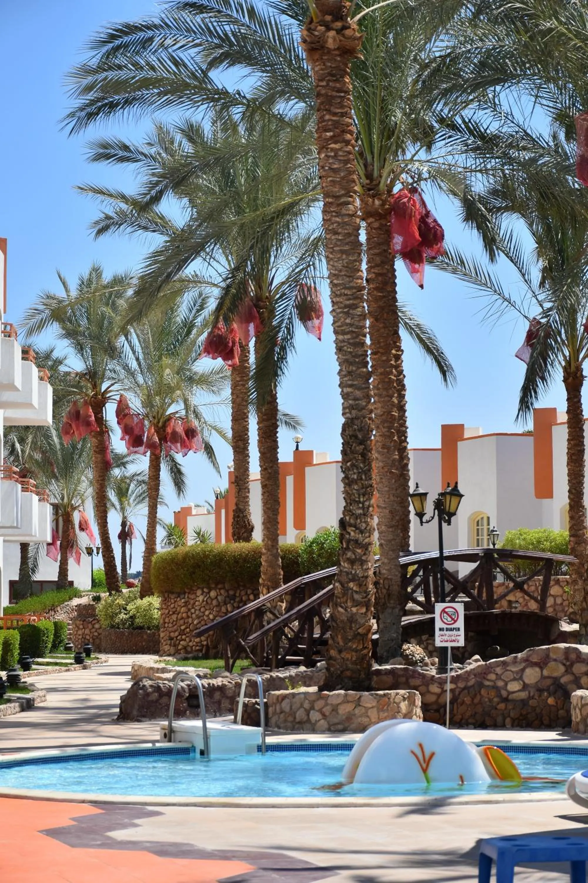 Natural landscape in Gafy Resort Aqua Park