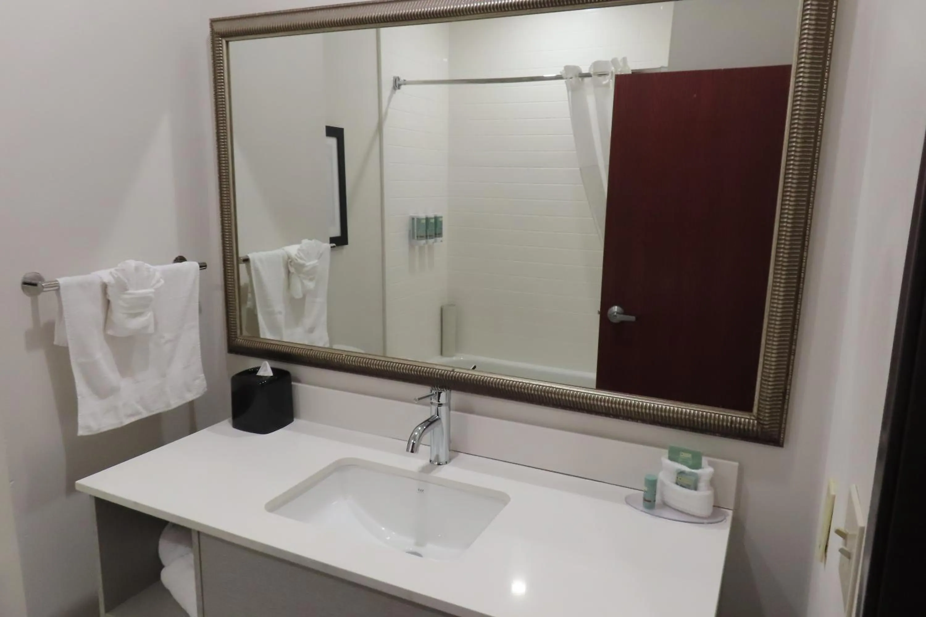 Bathroom in Best Western Heritage Inn & Suites