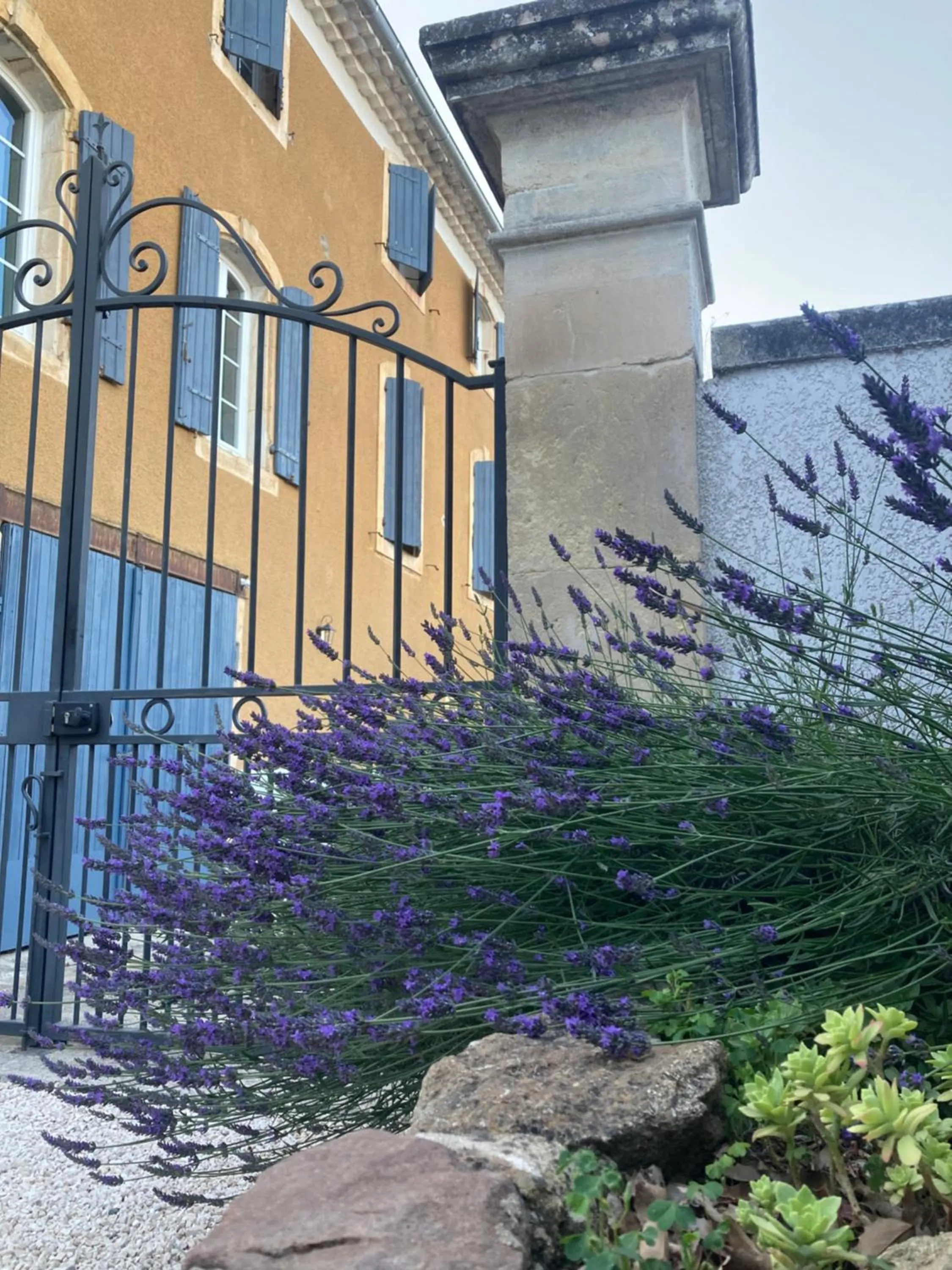Facade/entrance in DOMAINE FORVENT