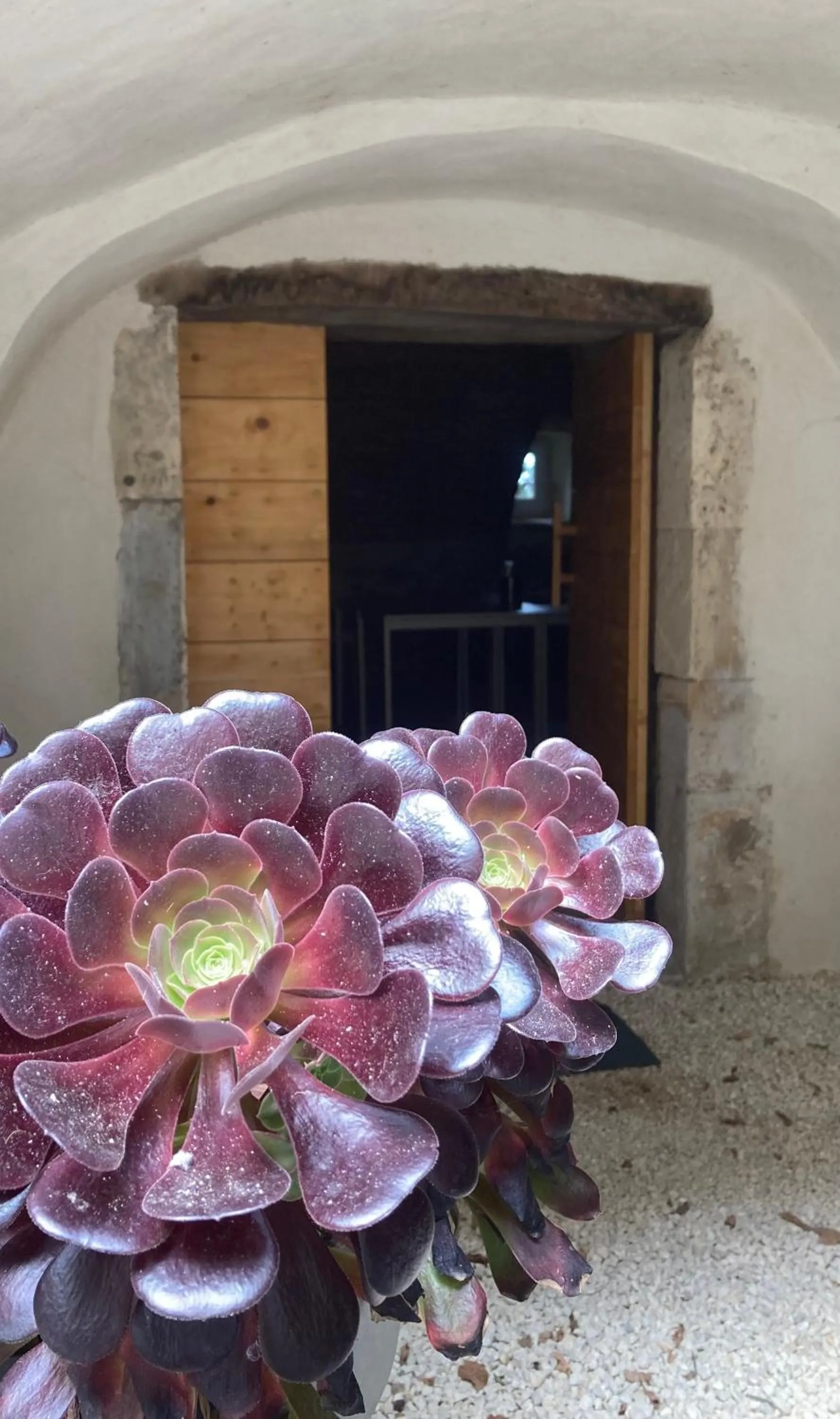 Property building in DOMAINE FORVENT