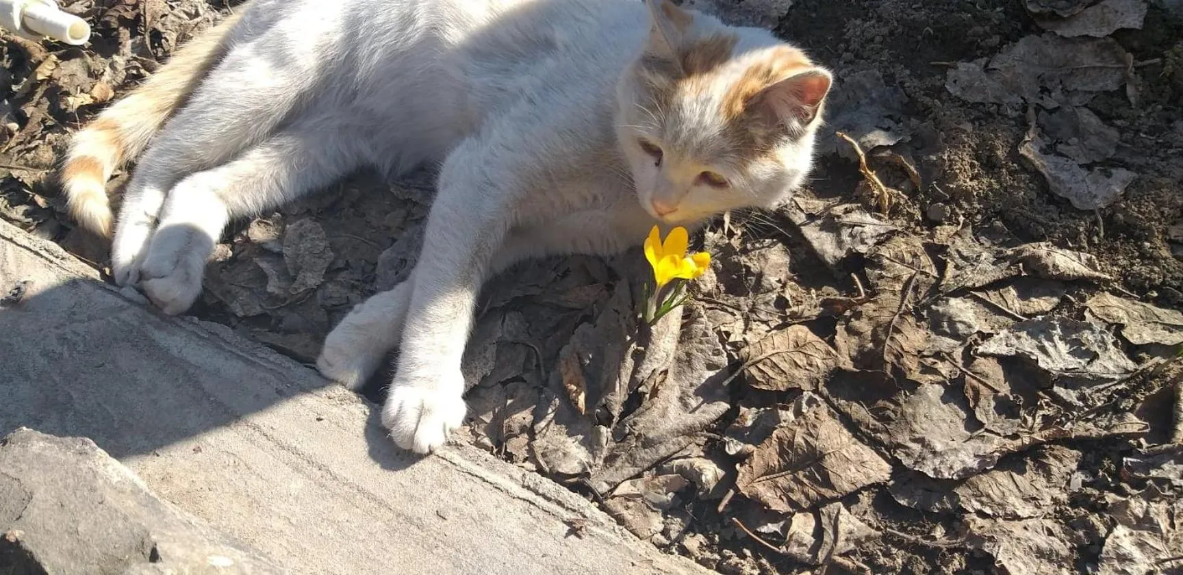 Li Yes Yerevan hotel