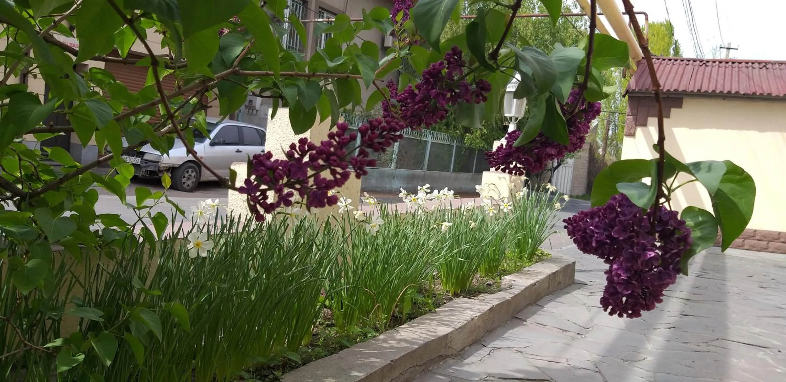 Li Yes Yerevan hotel