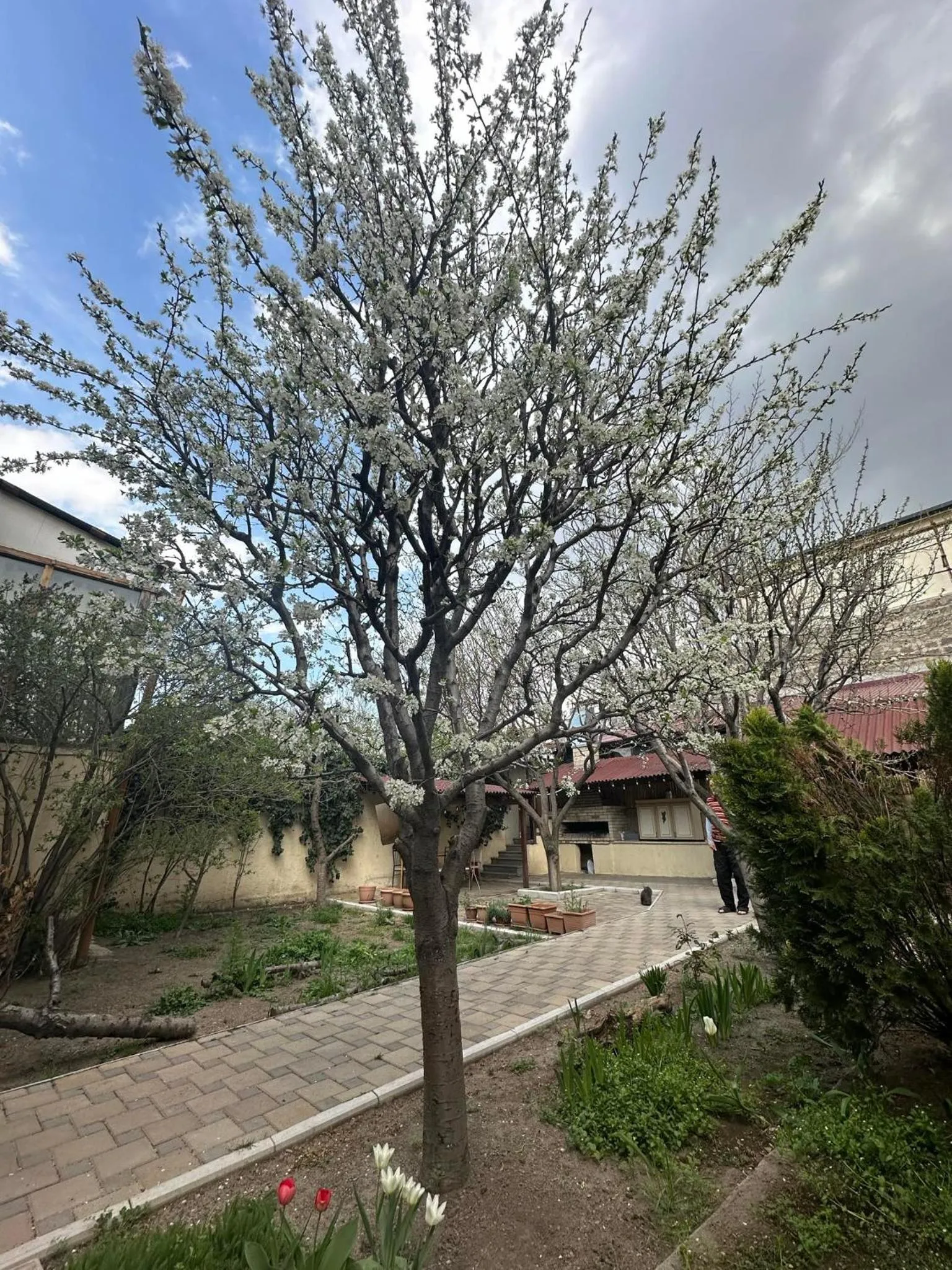 Li Yes Yerevan hotel