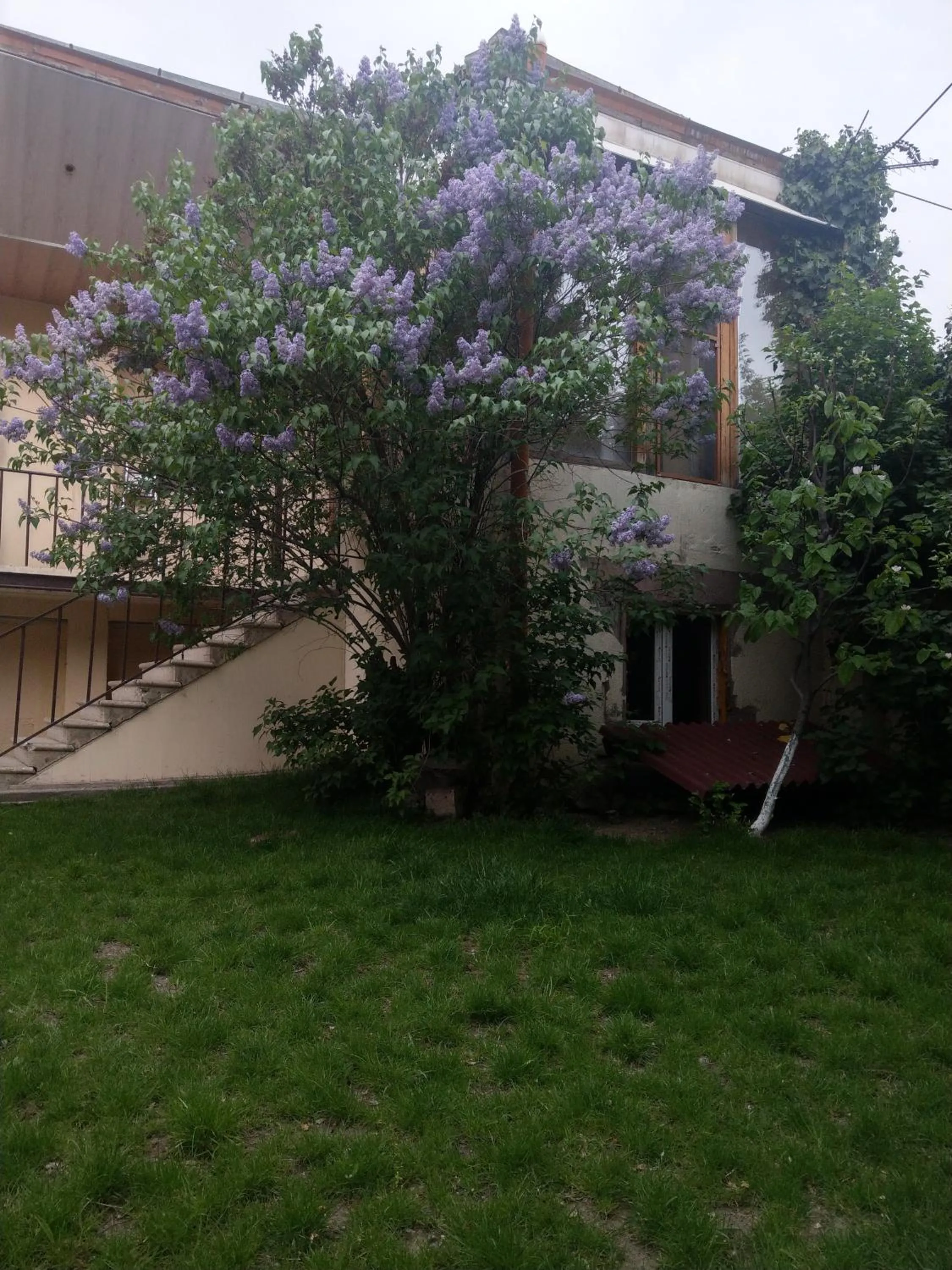 Li Yes Yerevan hotel