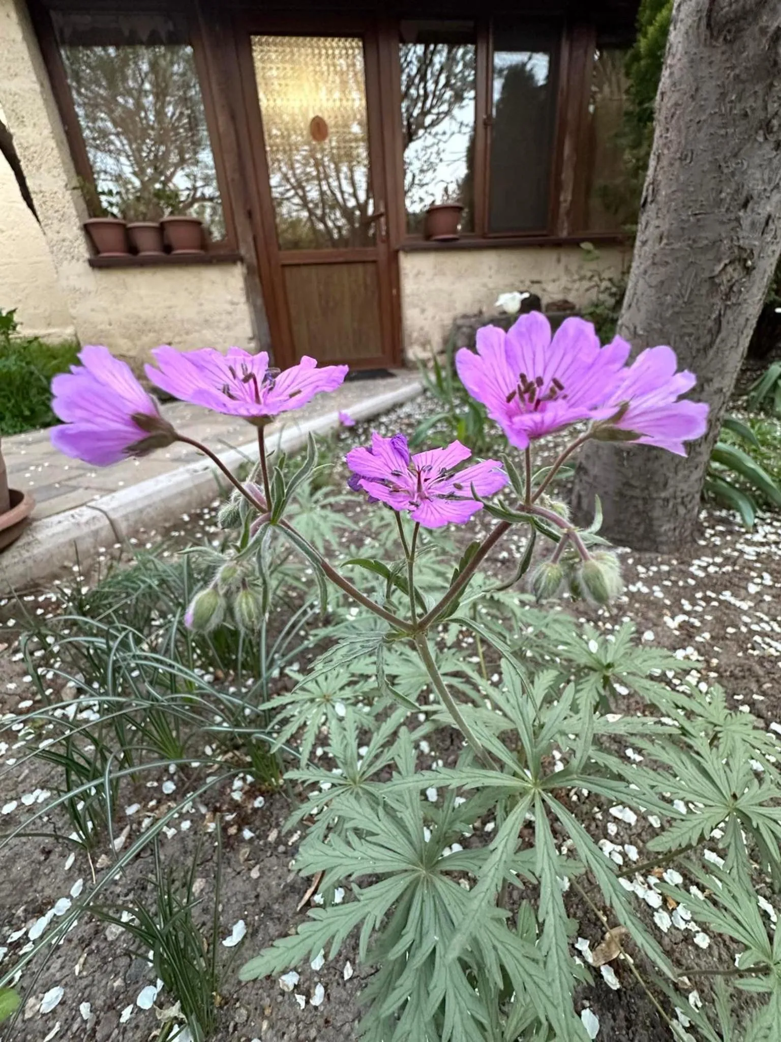 Li Yes Yerevan hotel