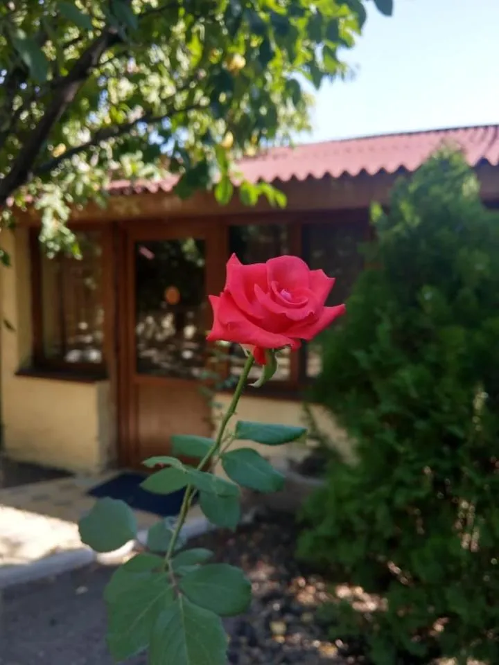 Li Yes Yerevan hotel