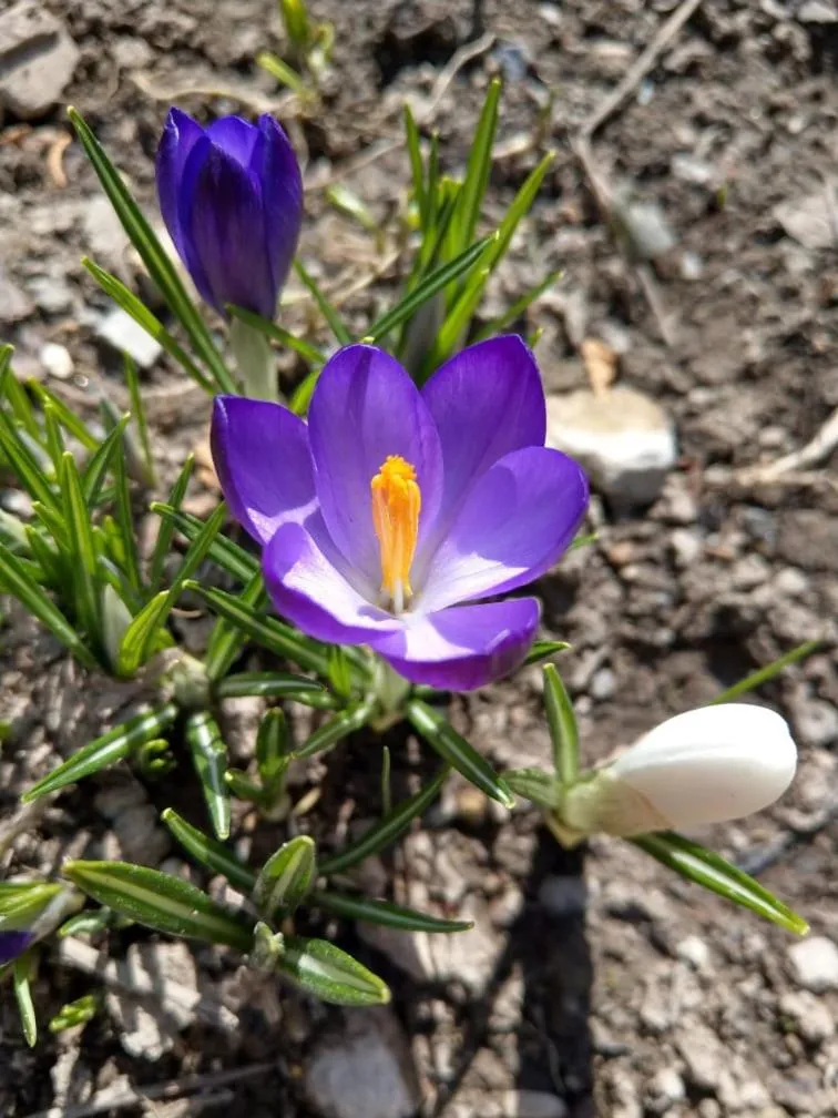 Li Yes Yerevan hotel