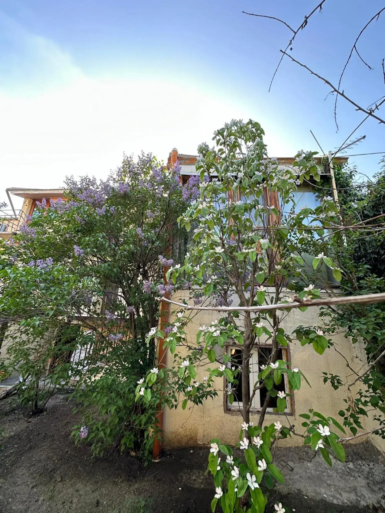 Triple Room with Balcony in Li Yes Yerevan hotel Triple Room with Balcony in Li Yes Yerevan hotel