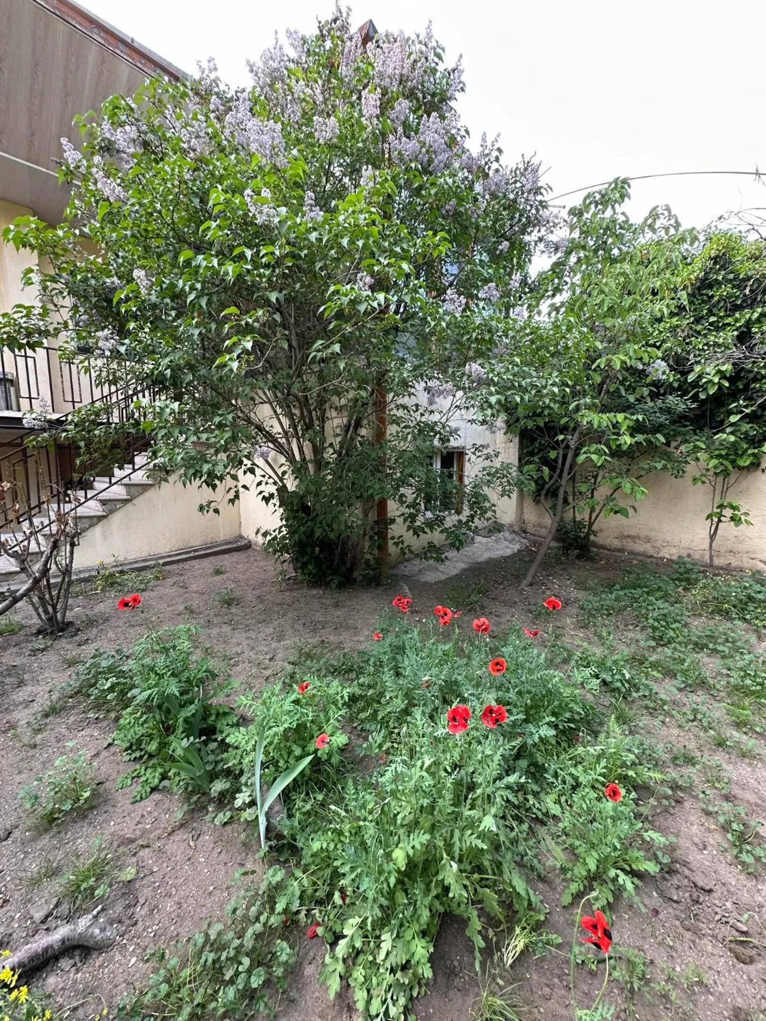 Li Yes Yerevan hotel