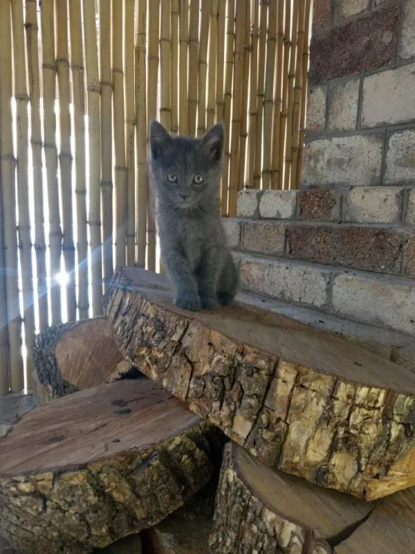 Li Yes Yerevan hotel