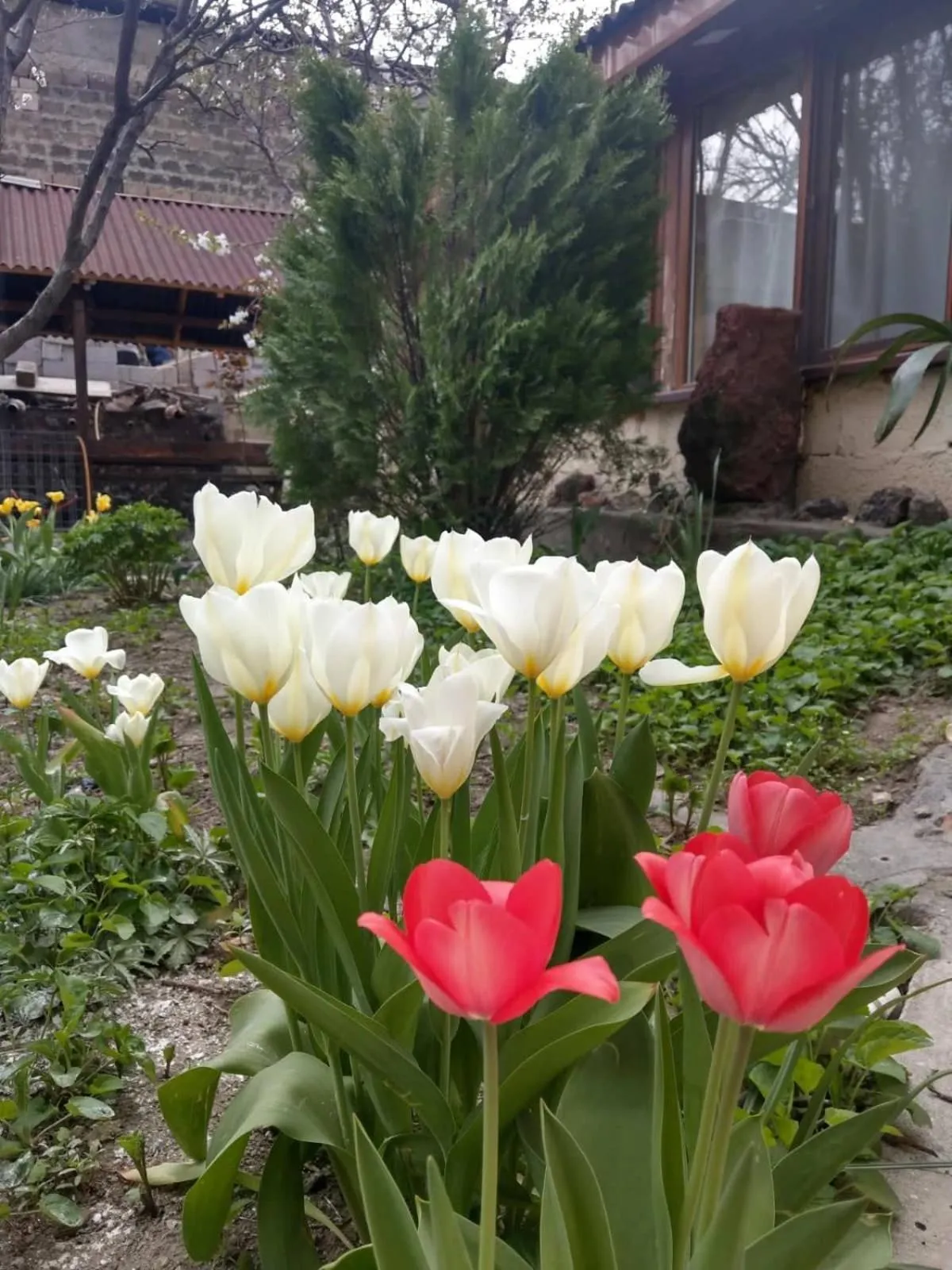 Li Yes Yerevan hotel