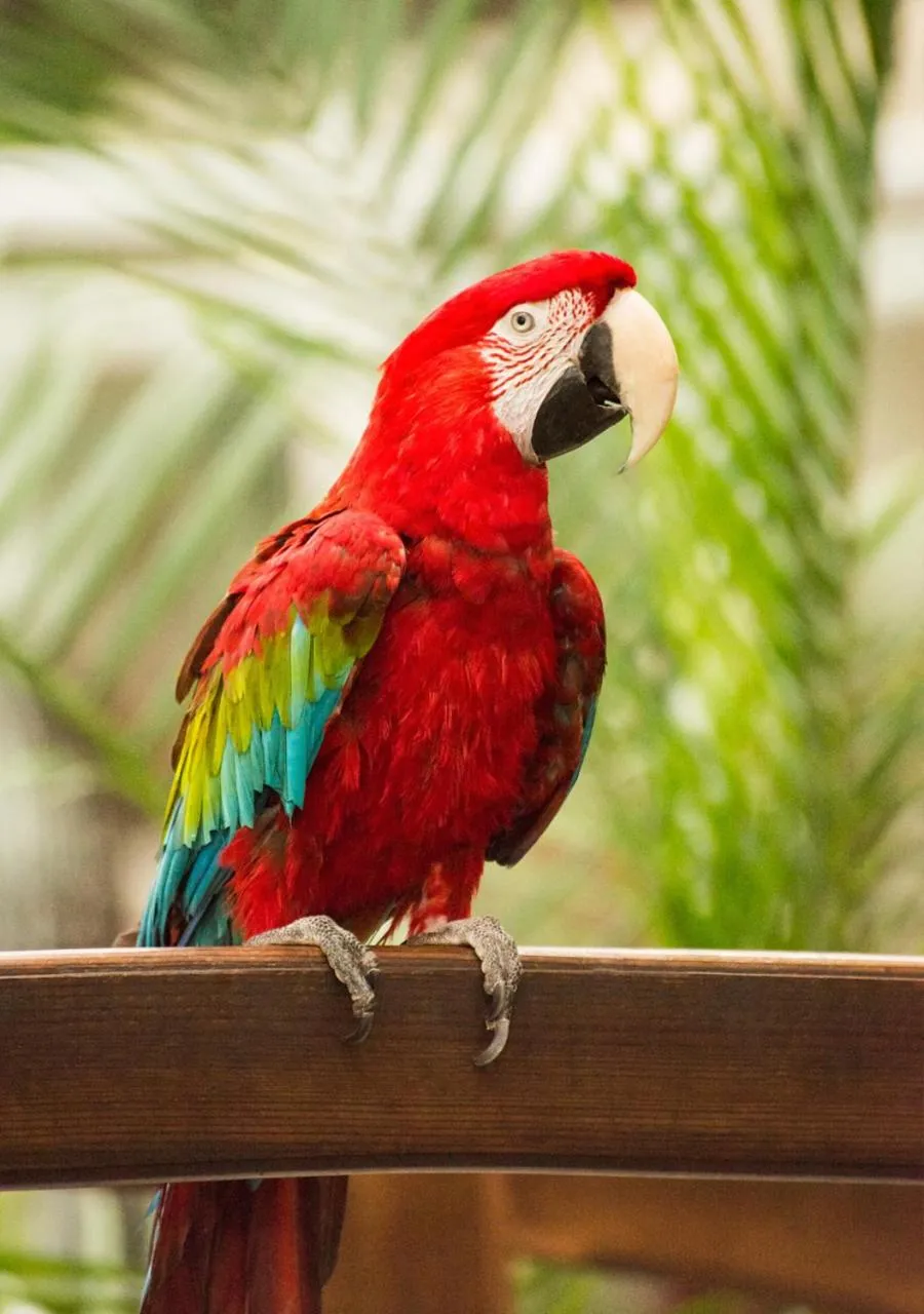 Property building in Quality Inn Oceanfront