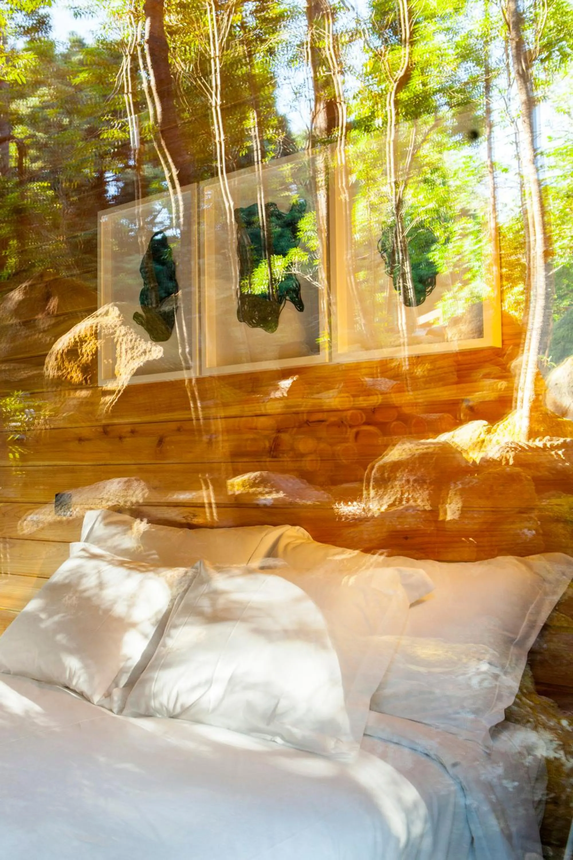 Day in Caparica Azores Ecolodge