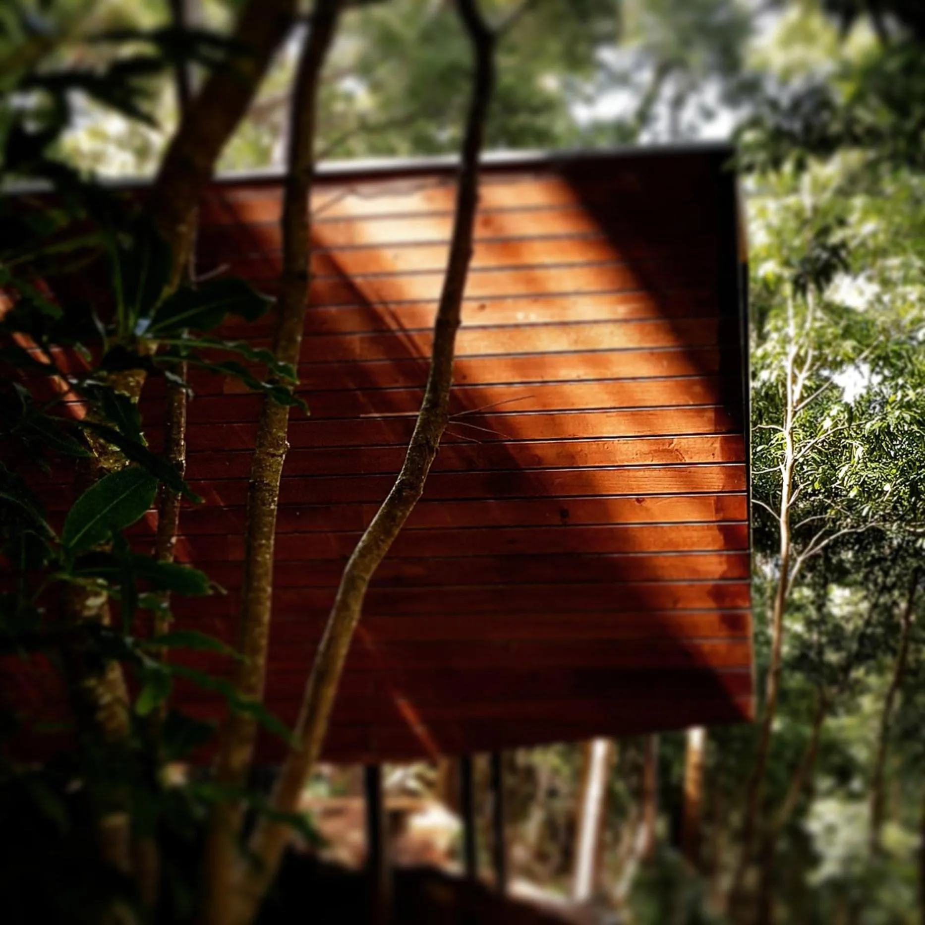 Natural landscape in Caparica Azores Ecolodge