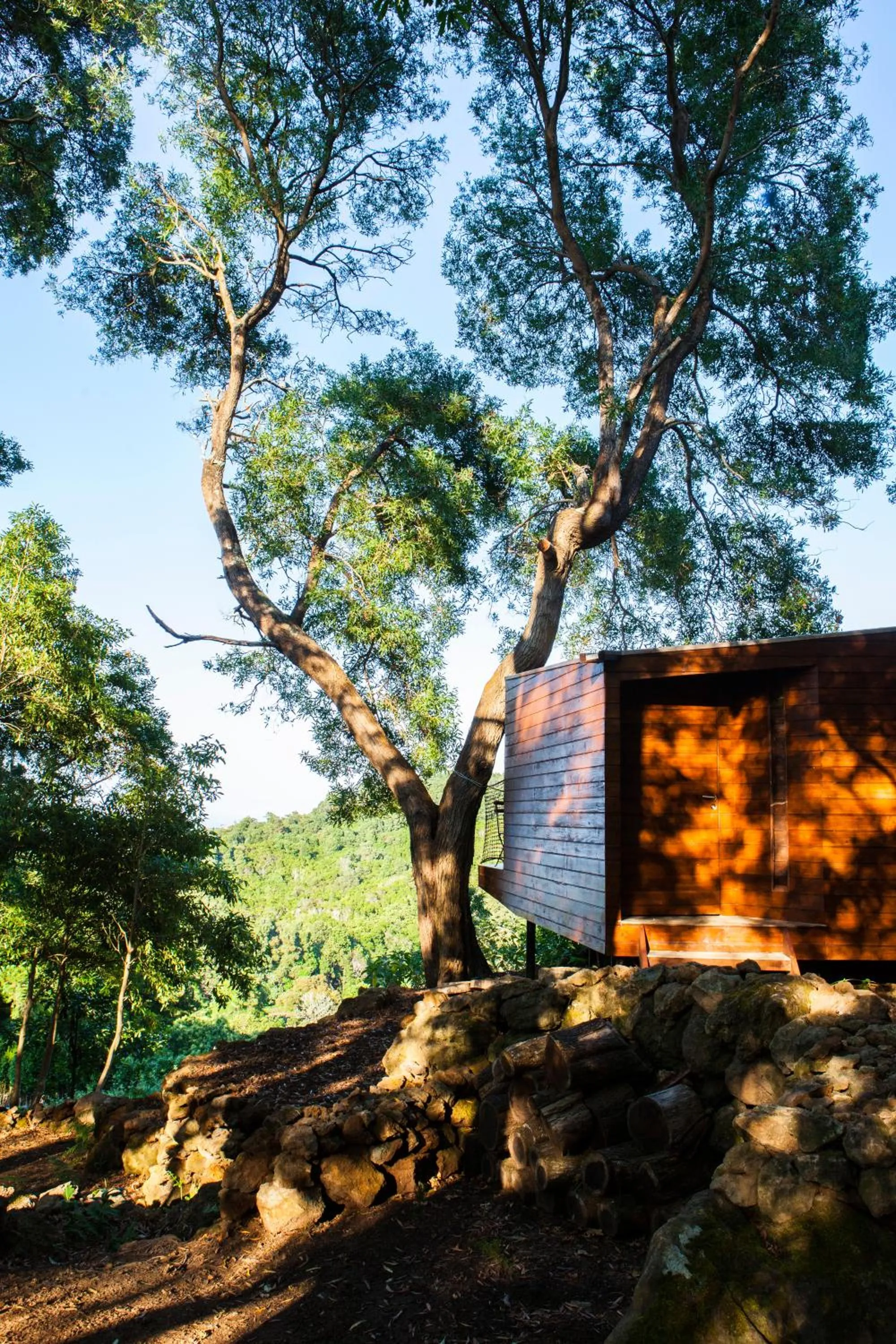 Property building in Caparica Azores Ecolodge