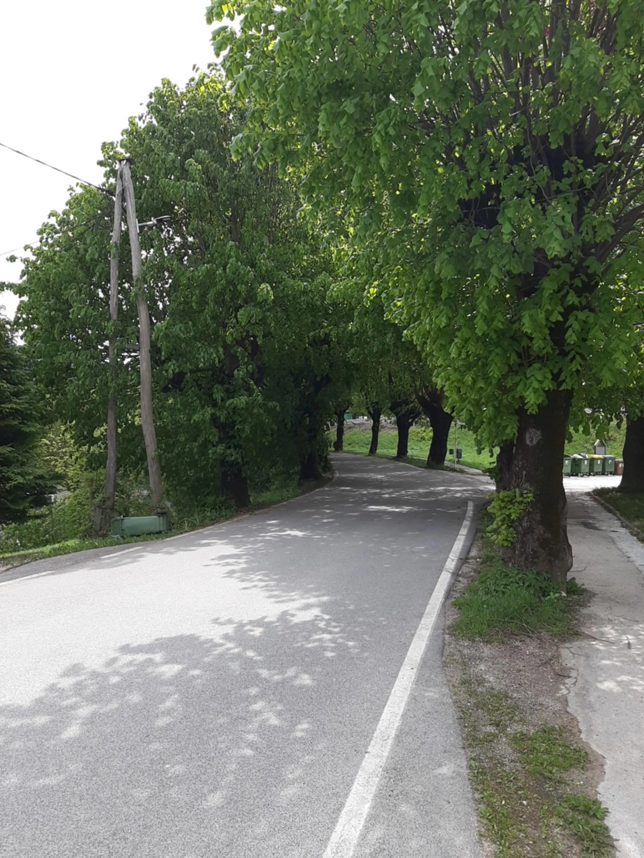 Street view in Apartment Galerija Bled