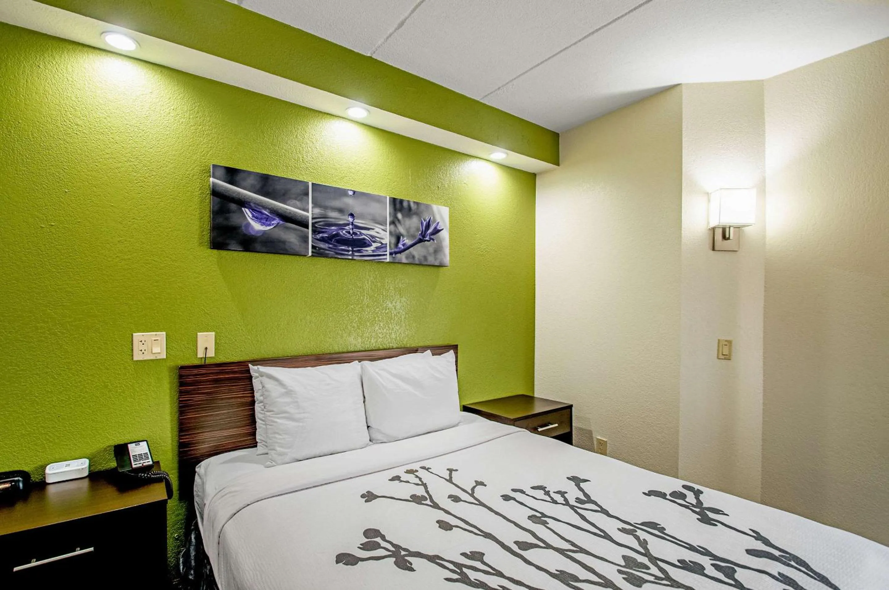 Photo of the whole room, Bed in Sleep Inn Frederick - Ballenger Creek