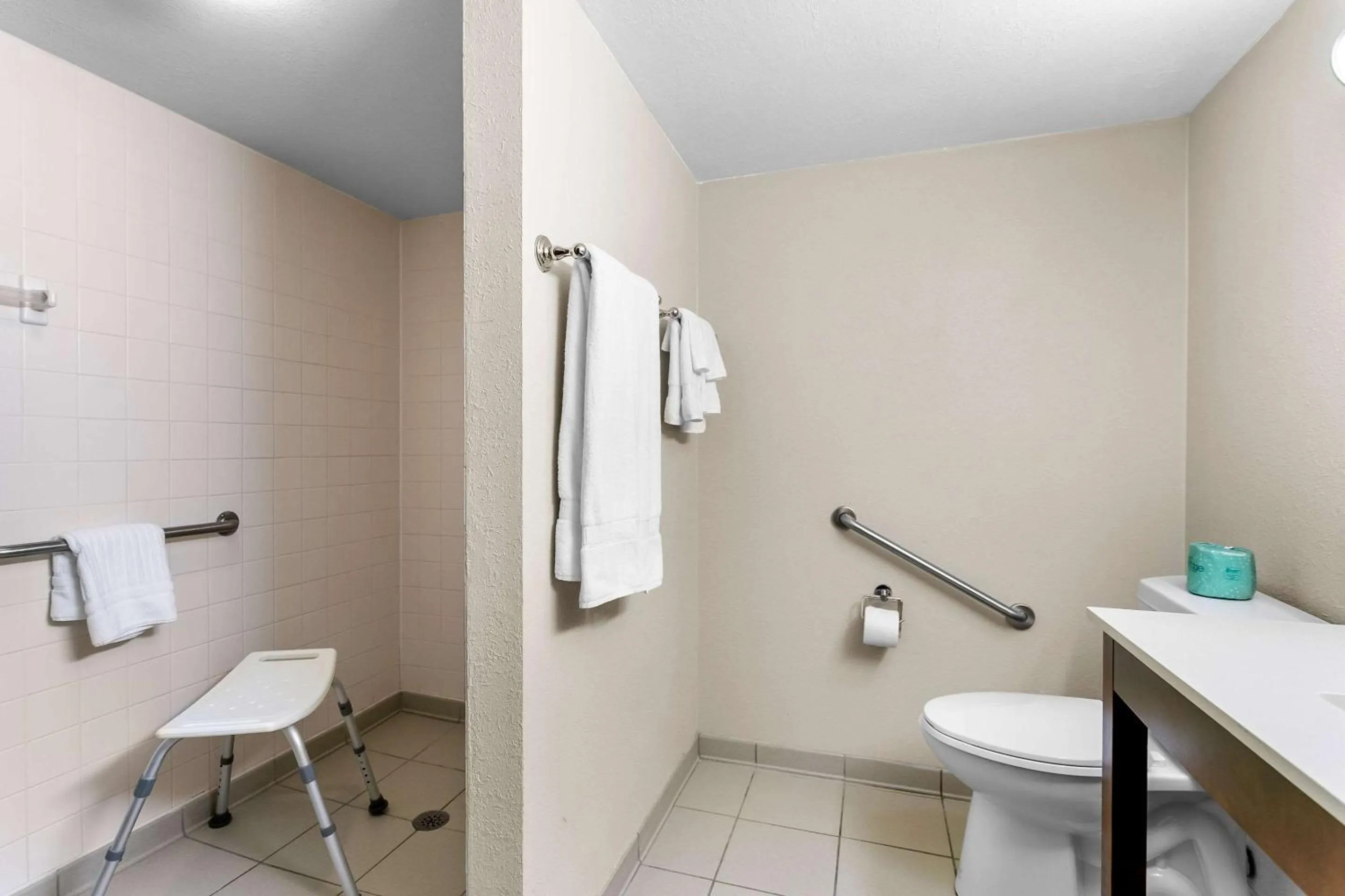 Shower in Comfort Inn Red Horse Frederick