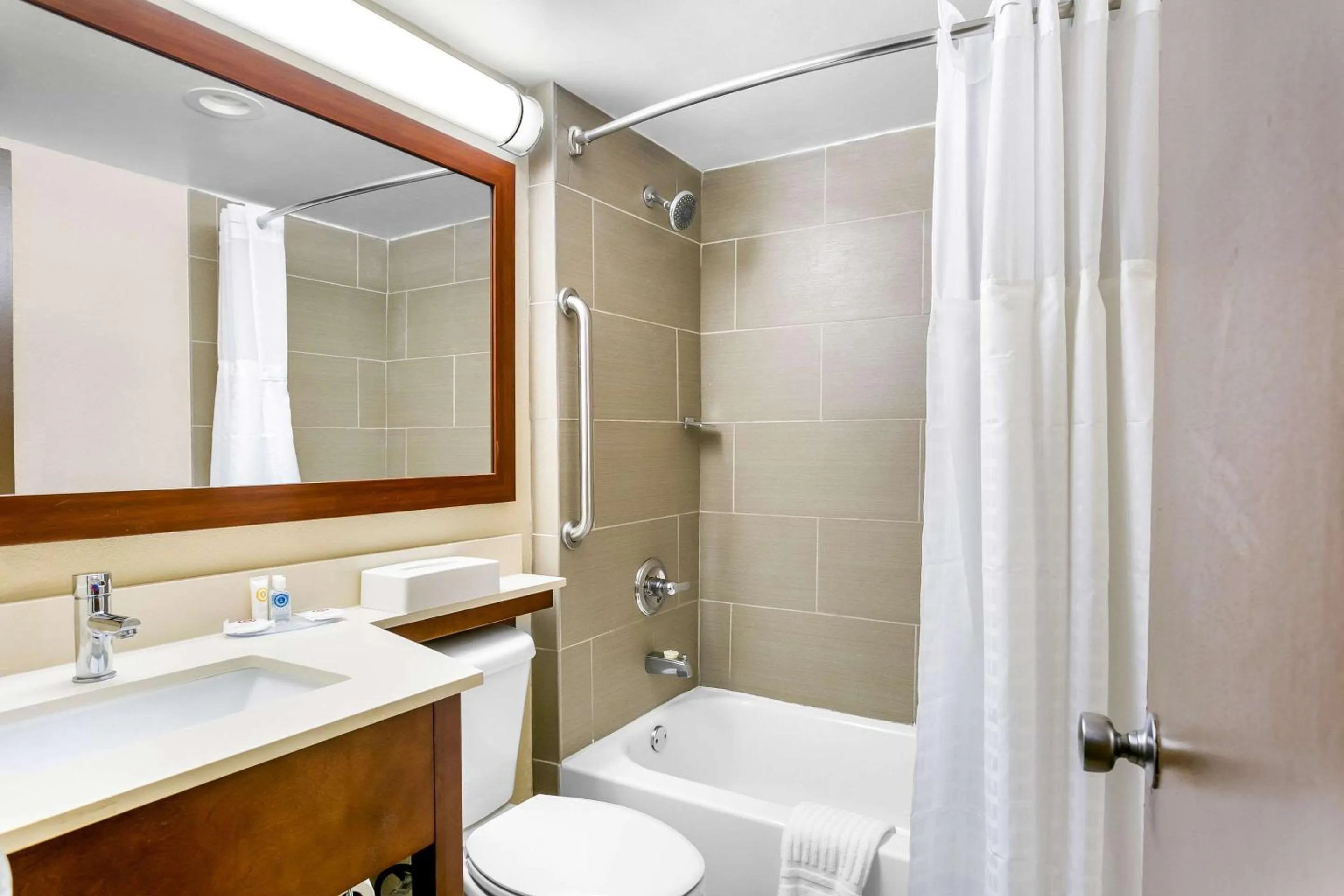 Bathroom in Comfort Inn Red Horse Frederick