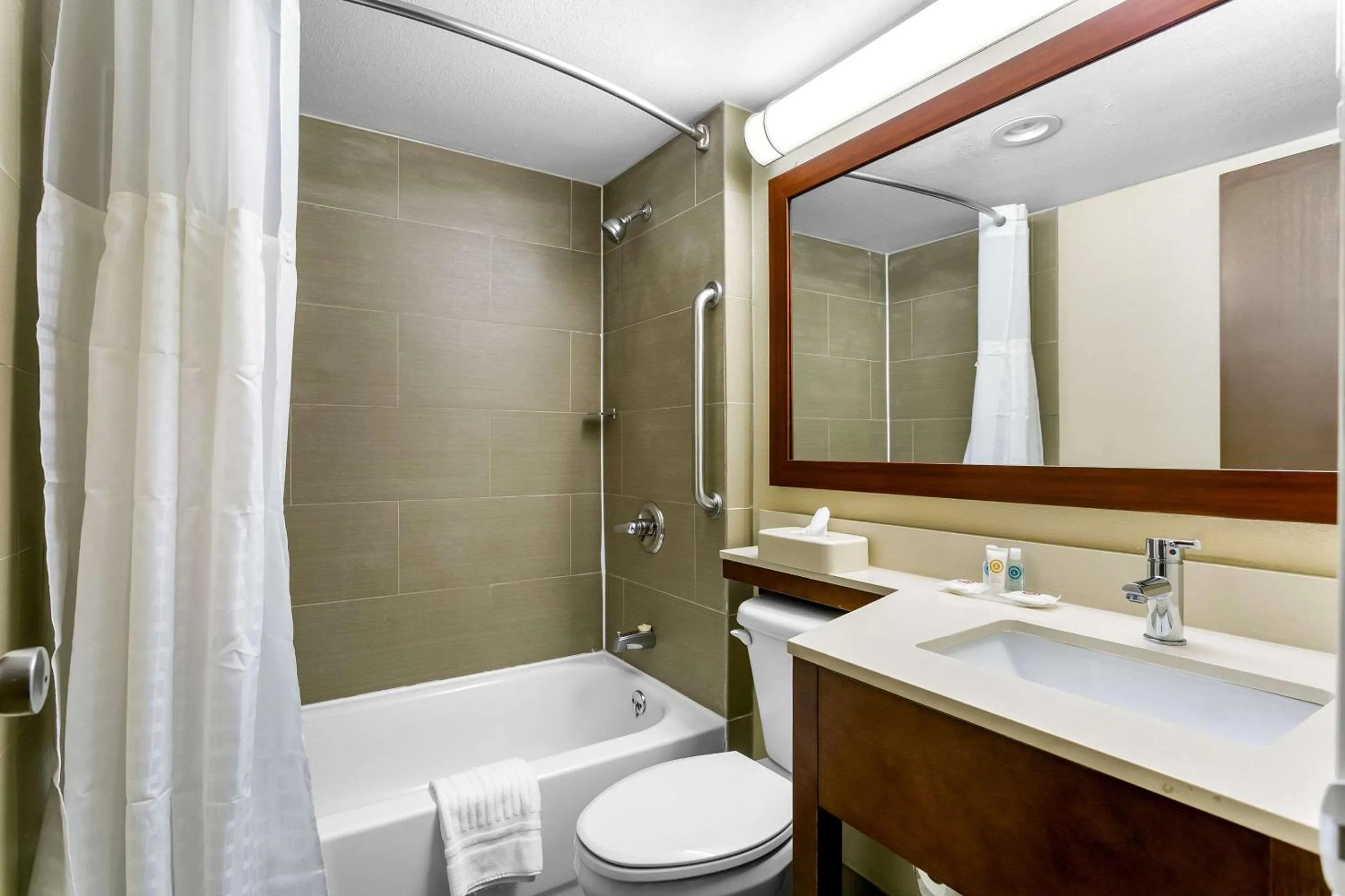 Bathroom in Comfort Inn Red Horse Frederick