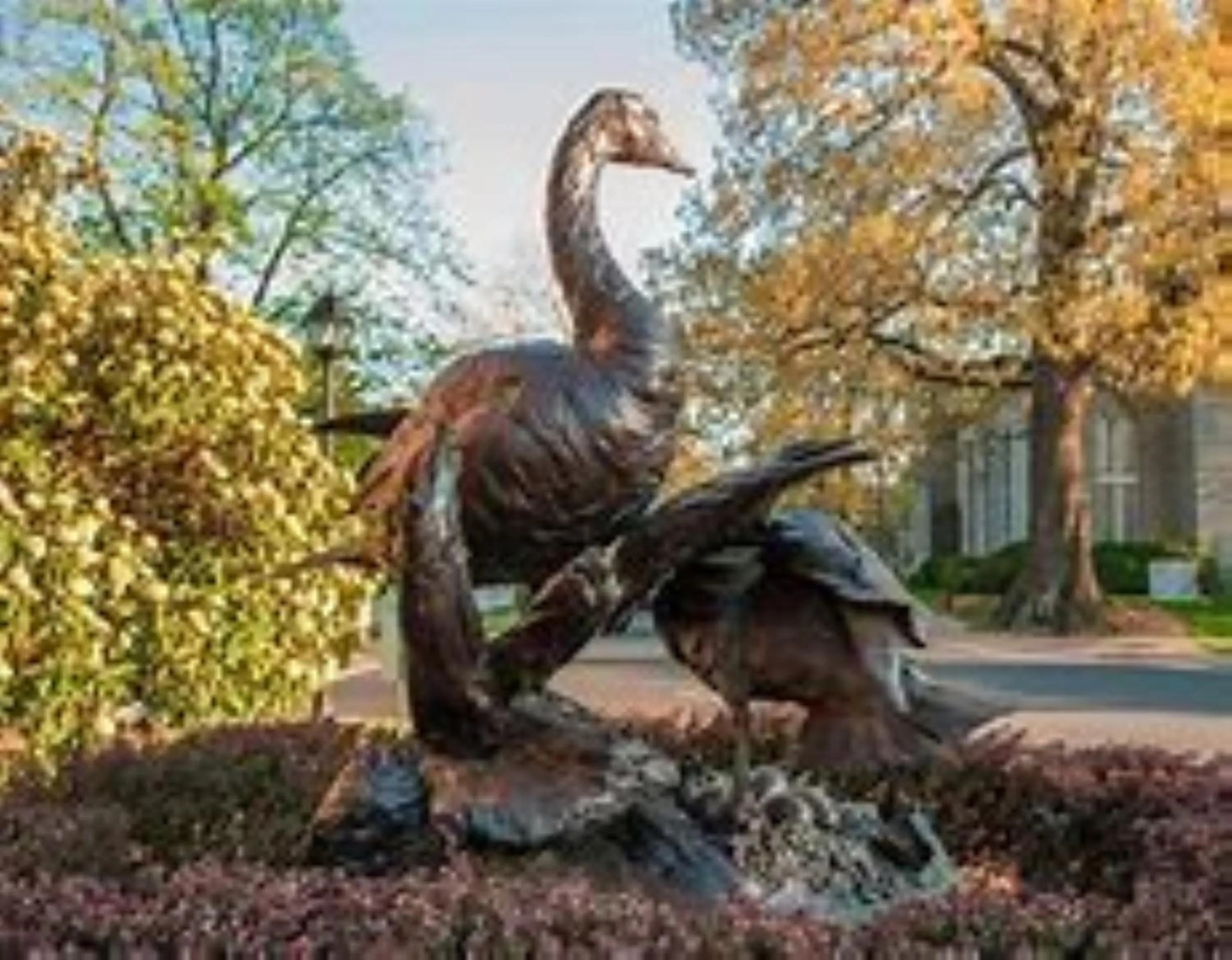 Activities in Comfort Inn & Suites Cambridge