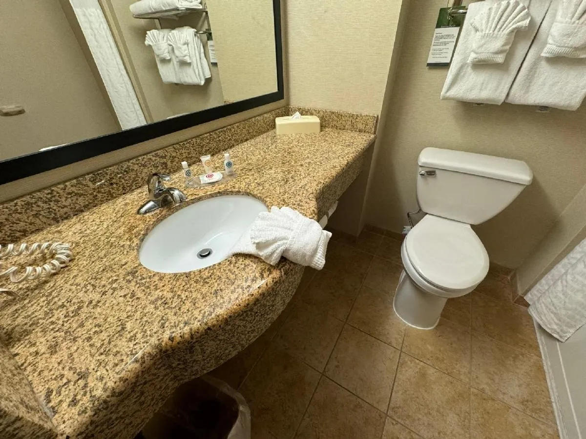 Bathroom in Comfort Inn & Suites Lexington Park near Pax River