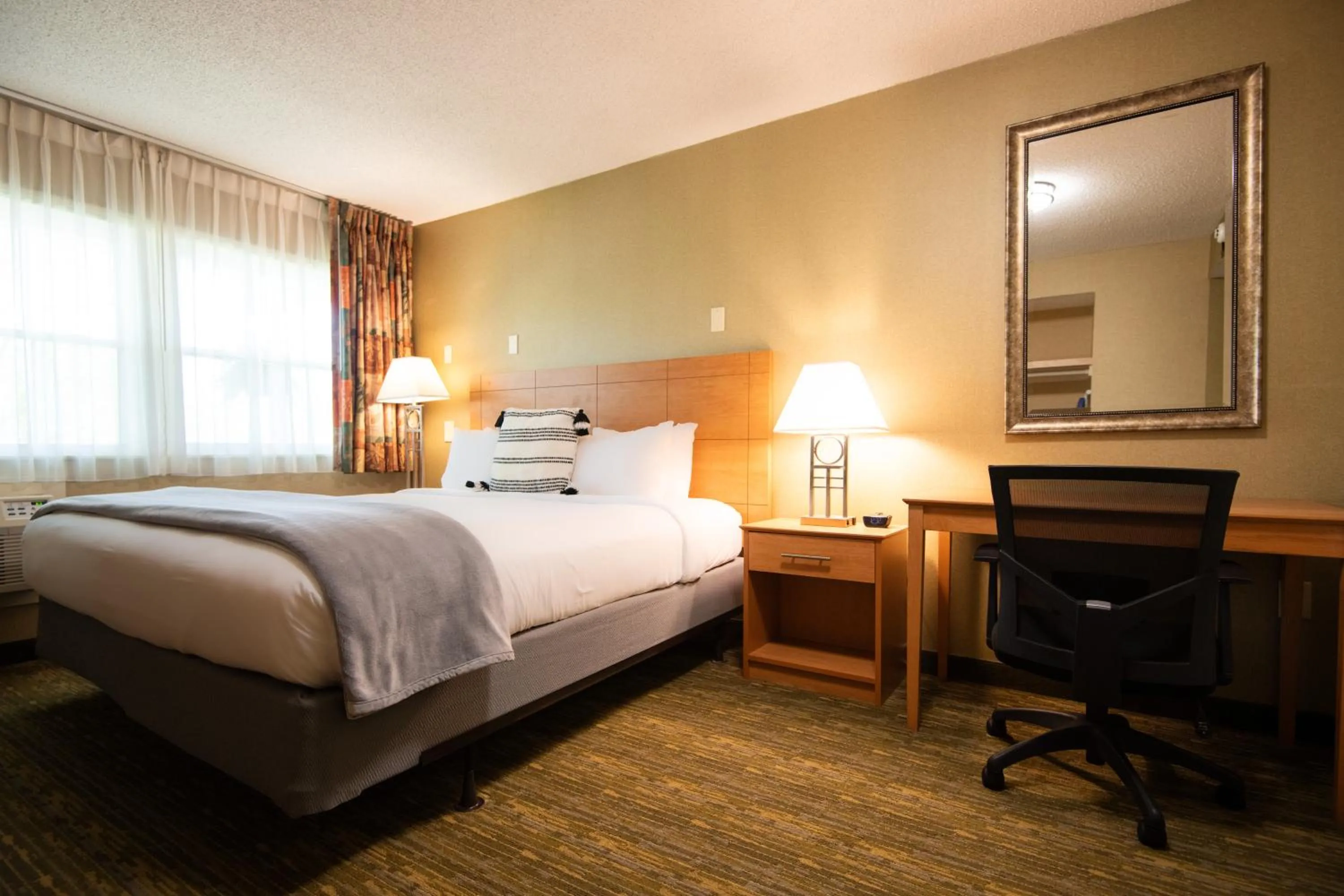 Bed in Seasider Motel