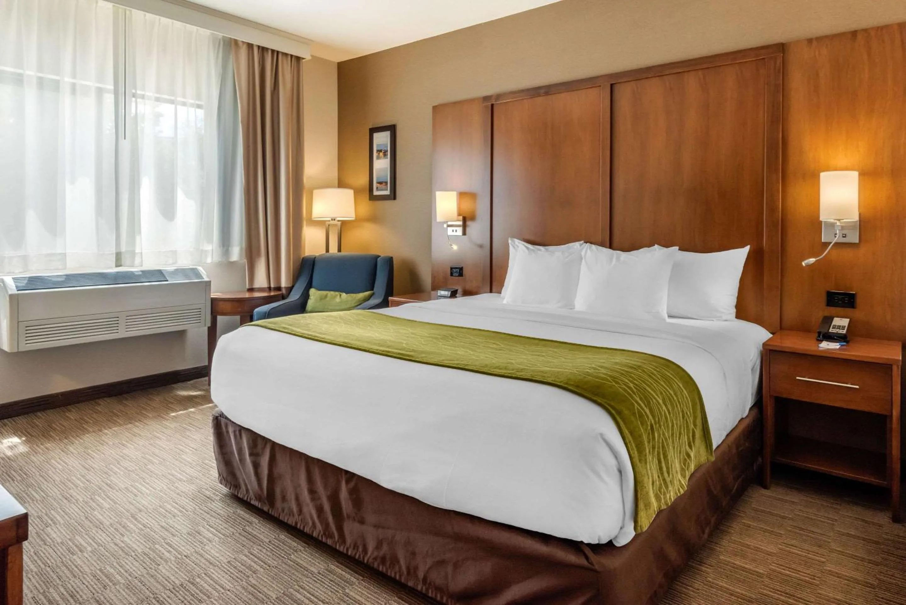 Bedroom, Bed in Comfort Inn Ellsworth - Bar Harbor