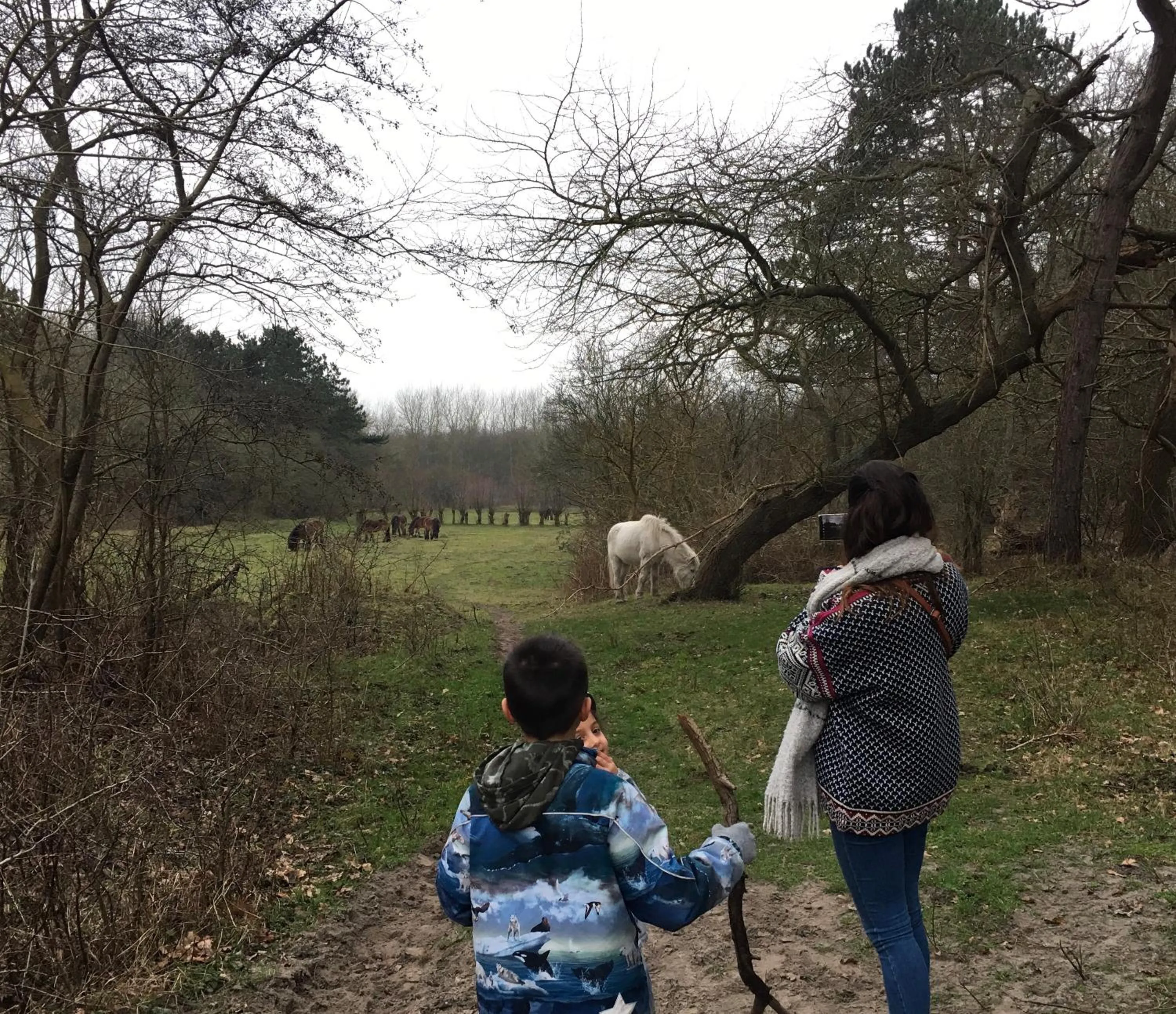 Activities in Oostvoornsch Gastenverblijf