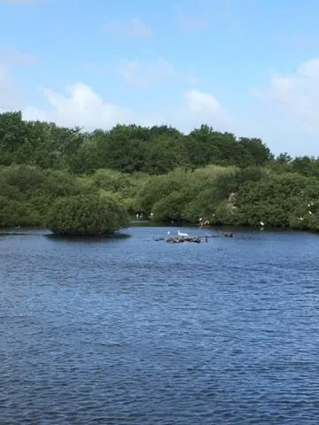 Natural landscape in Oostvoornsch Gastenverblijf