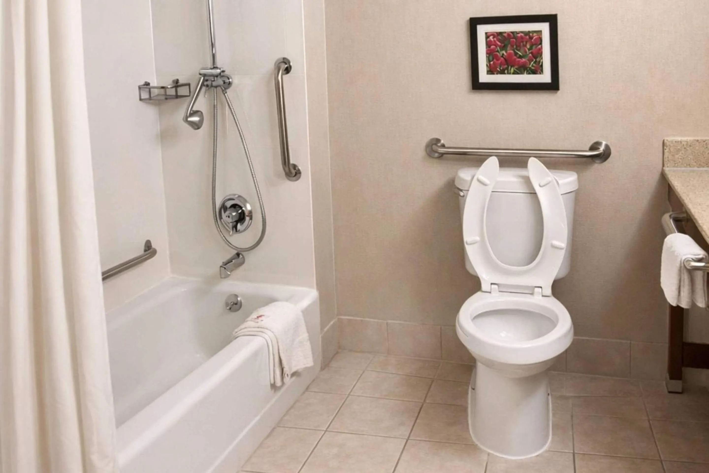 Bedroom in Comfort Inn Farmington Hills - Novi-Royal oaks-Southfield-Detroit Northwest