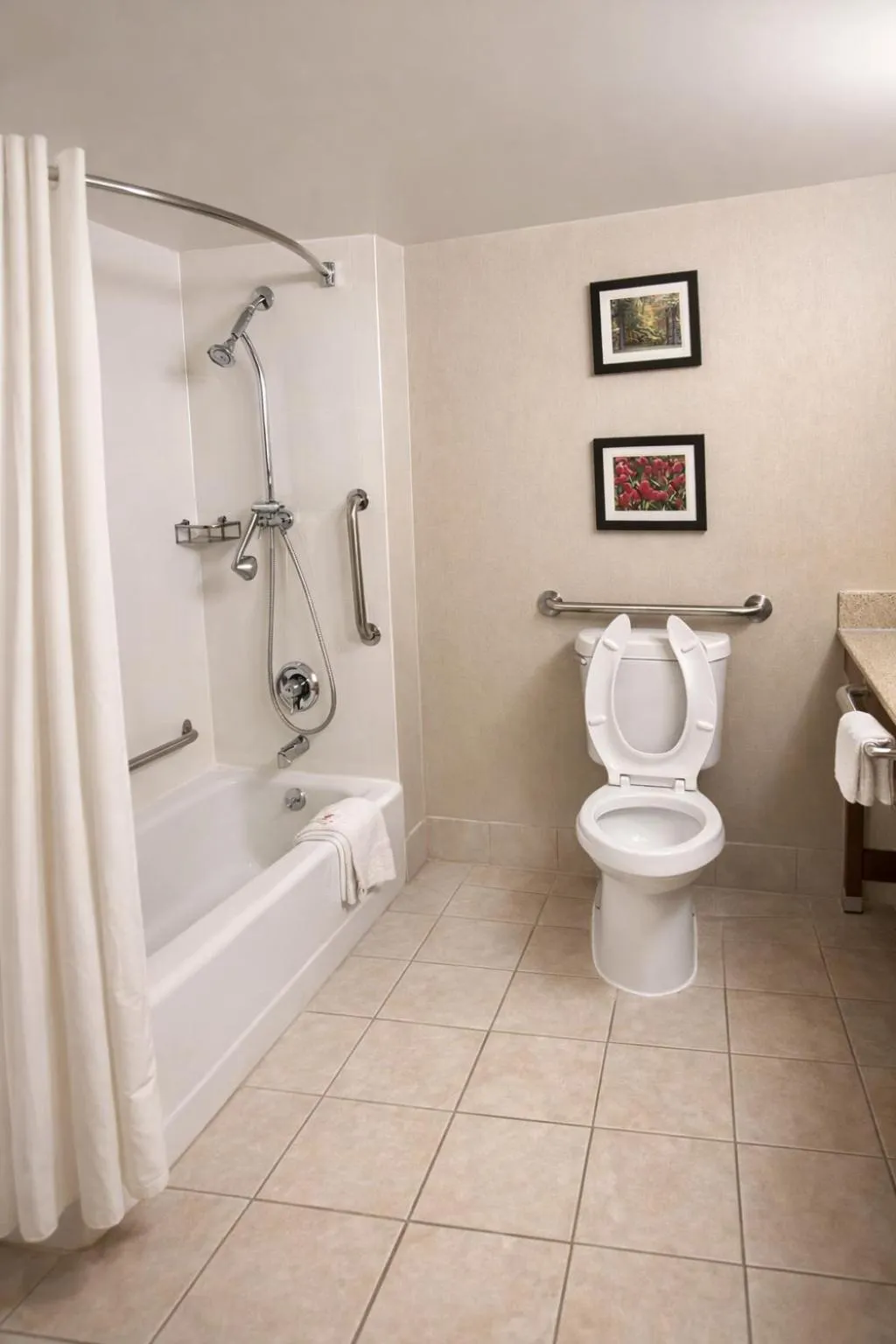 Bathroom in Comfort Inn Farmington Hills - Novi-Royal oaks-Southfield-Detroit Northwest