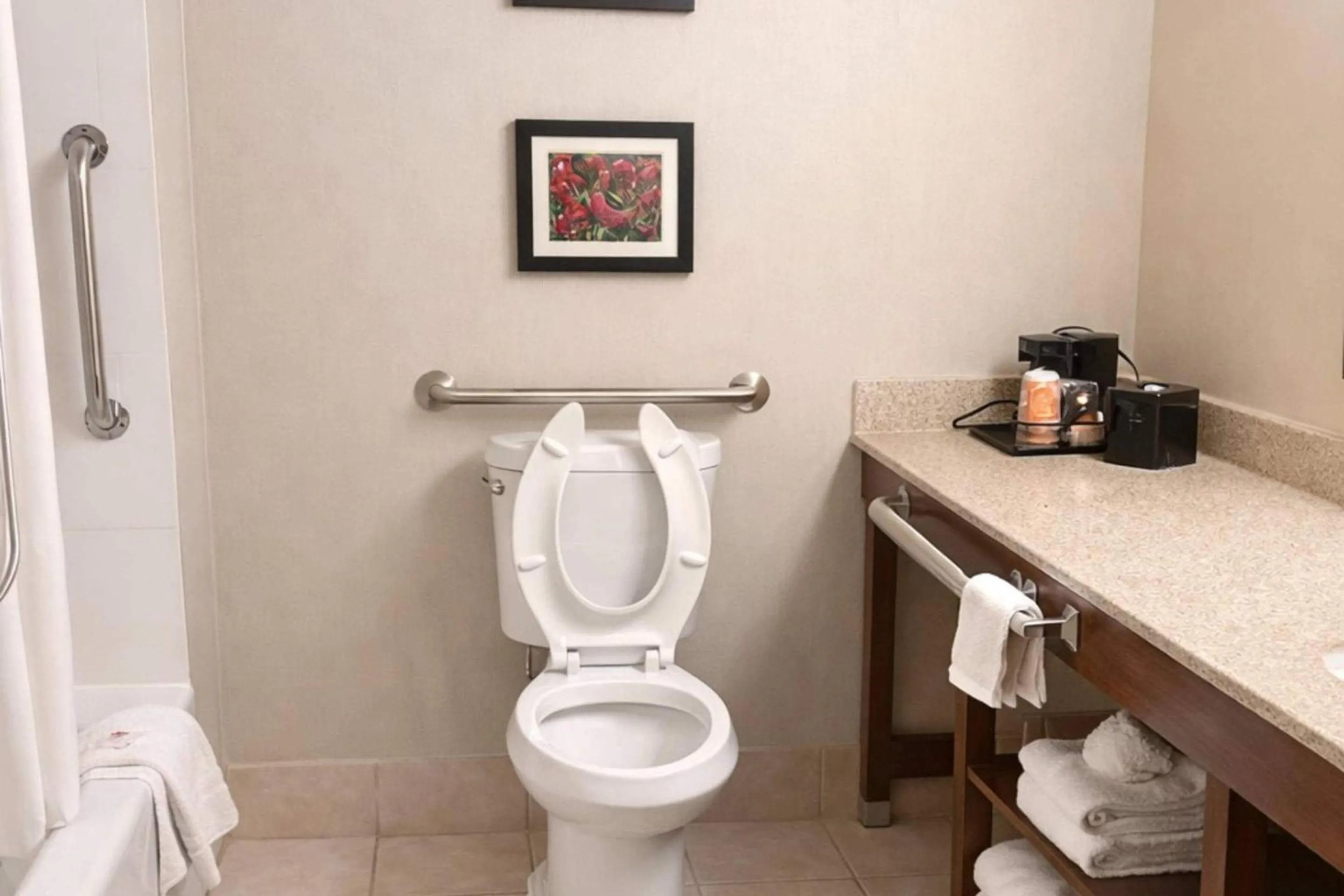 Bedroom in Comfort Inn Farmington Hills - Novi-Royal oaks-Southfield-Detroit Northwest