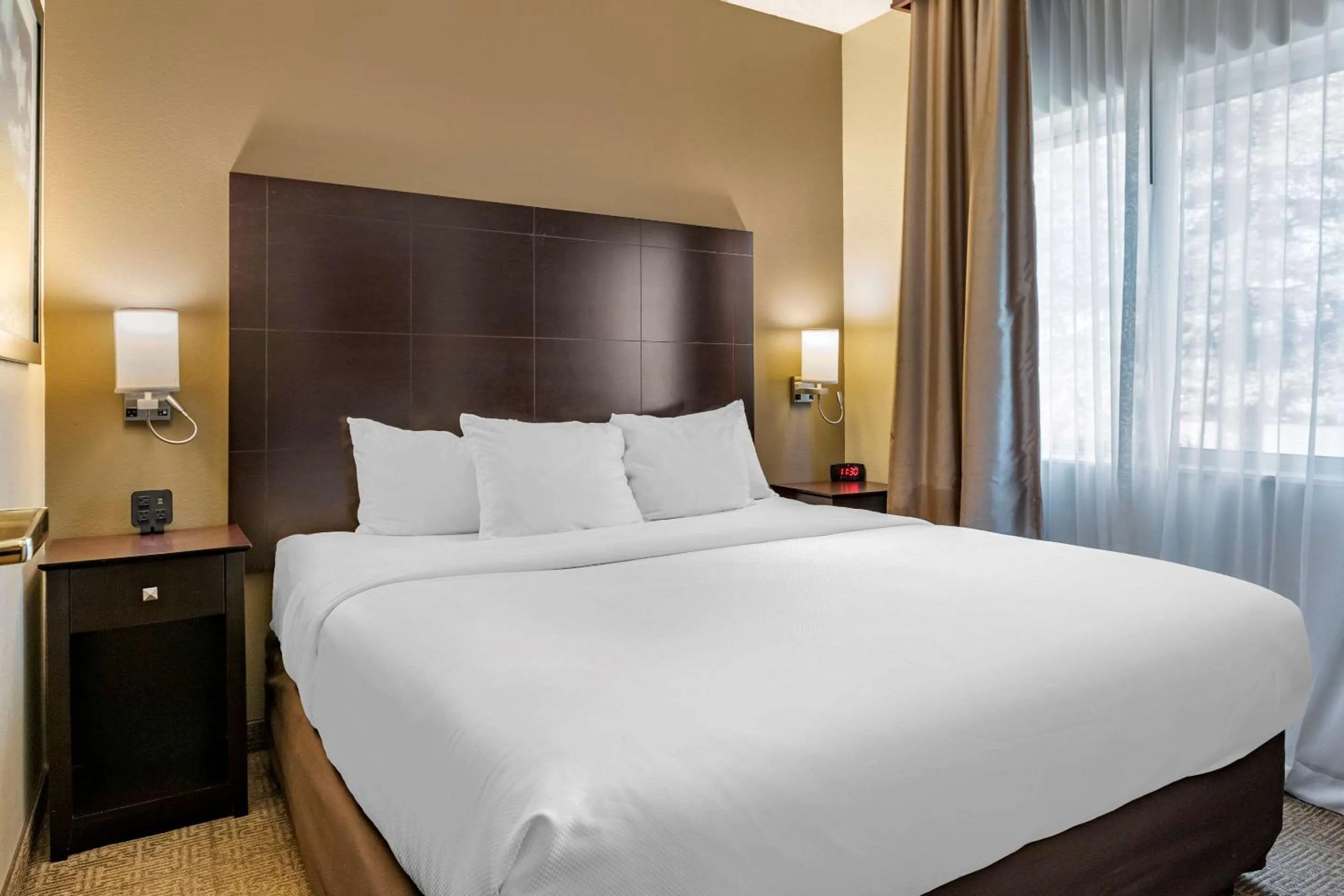 Photo of the whole room, Bed in Comfort Inn & Suites Paw Paw