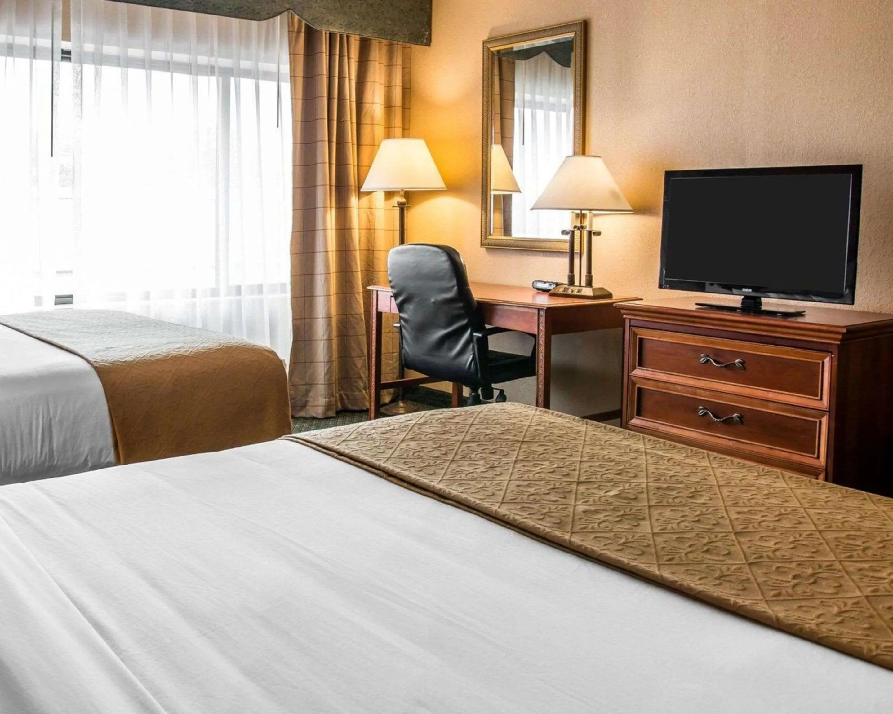 Photo of the whole room, Bed in Quality Inn