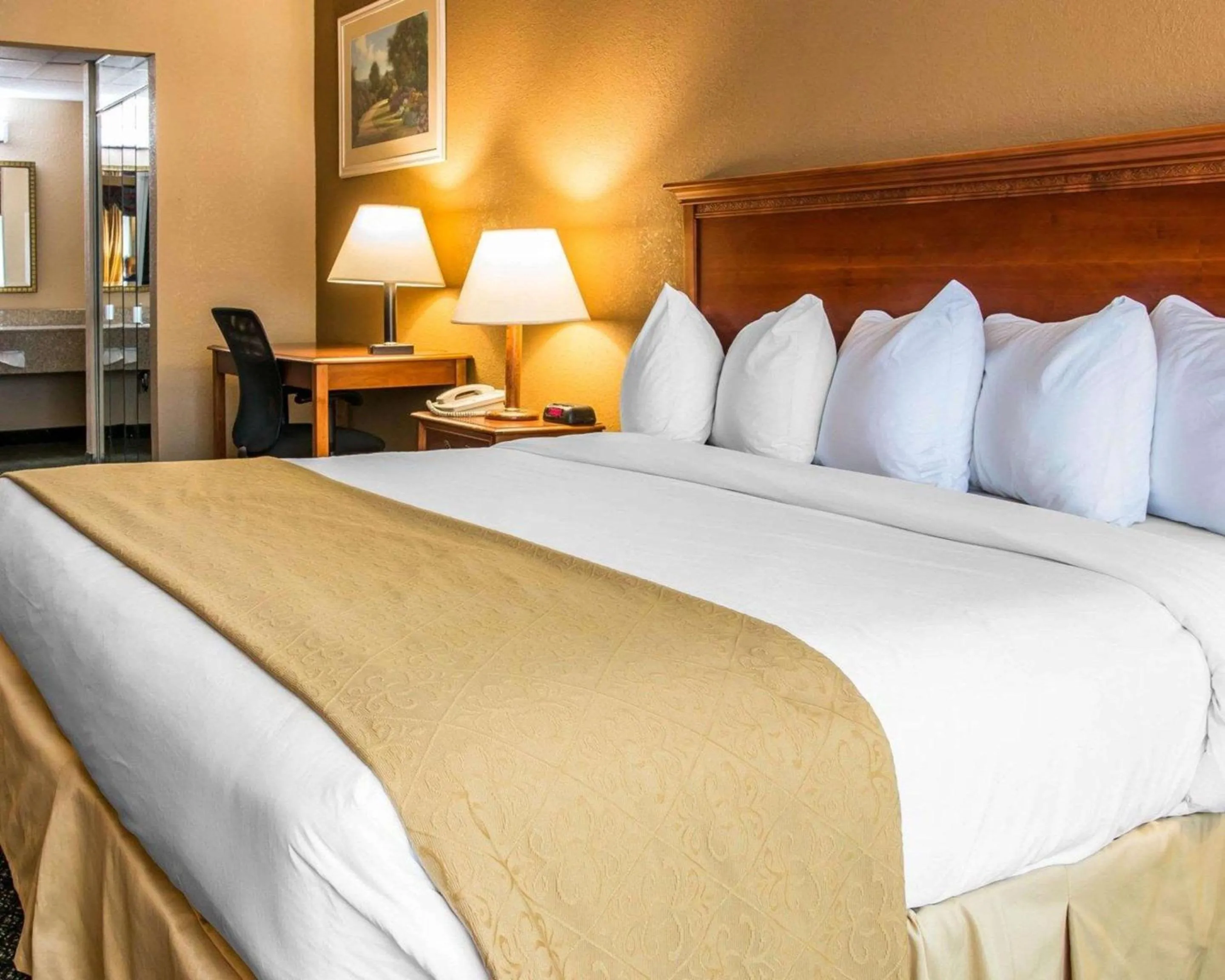 Photo of the whole room, Bed in Quality Inn