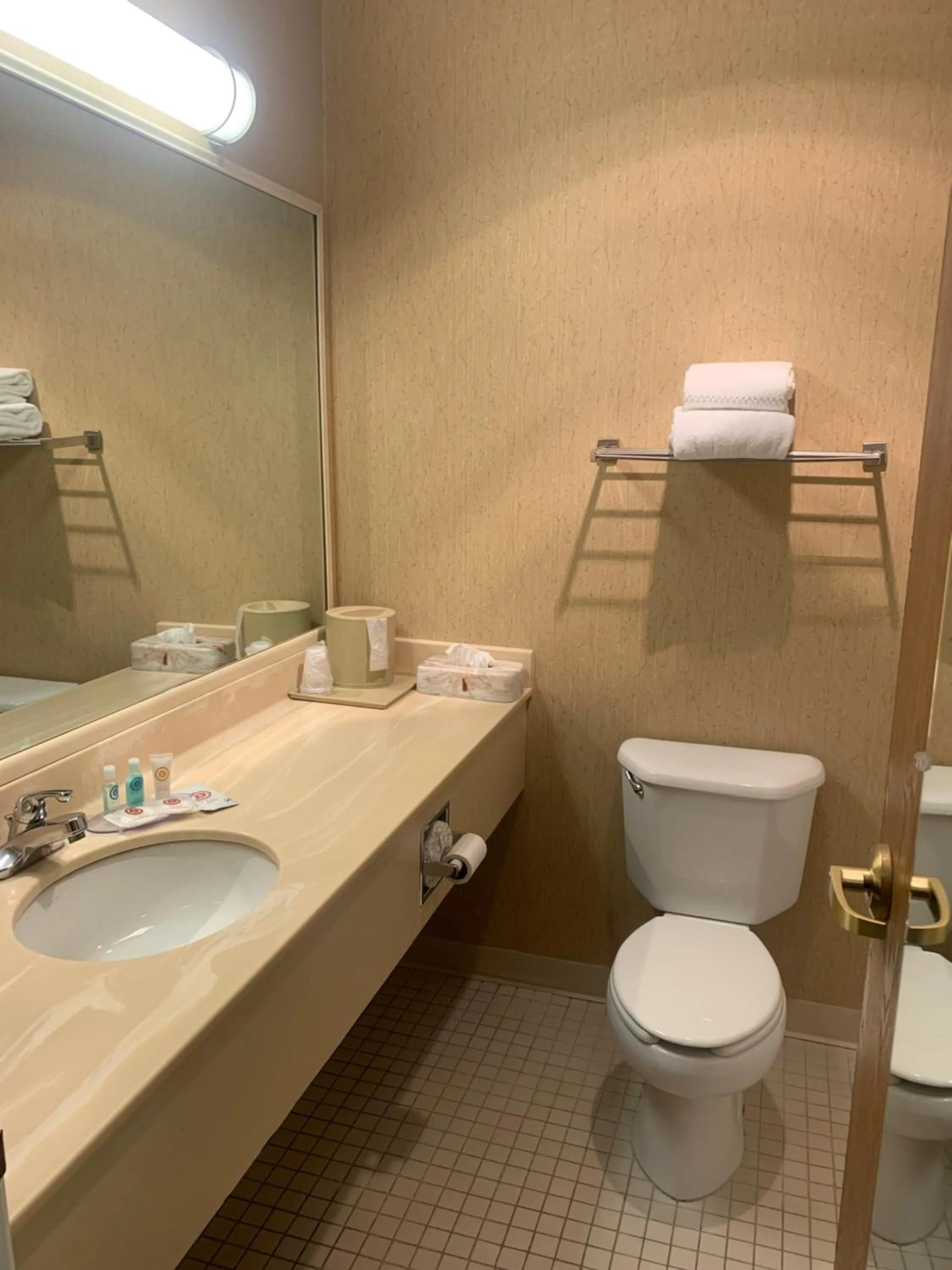 Bathroom in Comfort Inn Chelsea