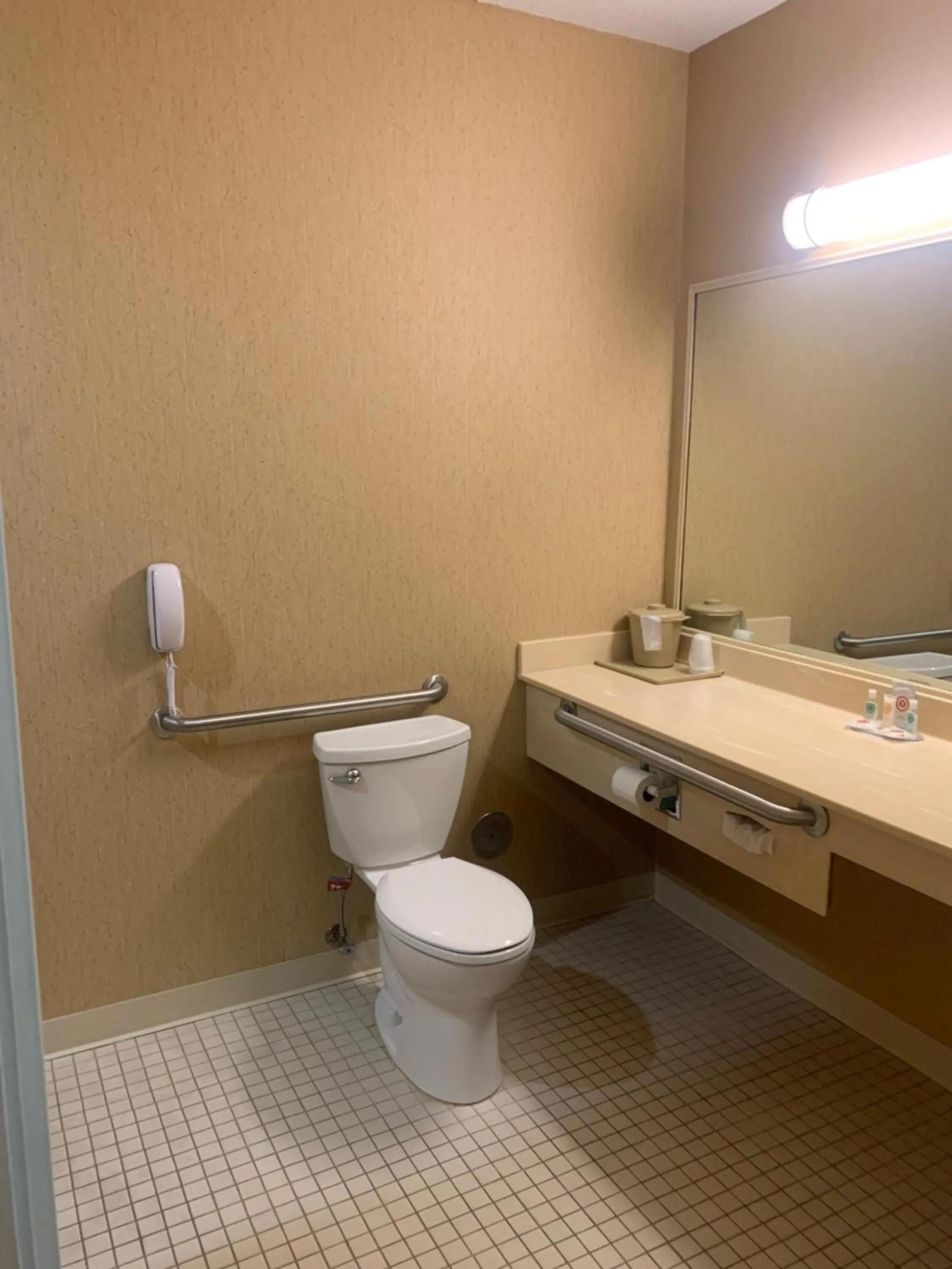 Toilet in Comfort Inn Chelsea