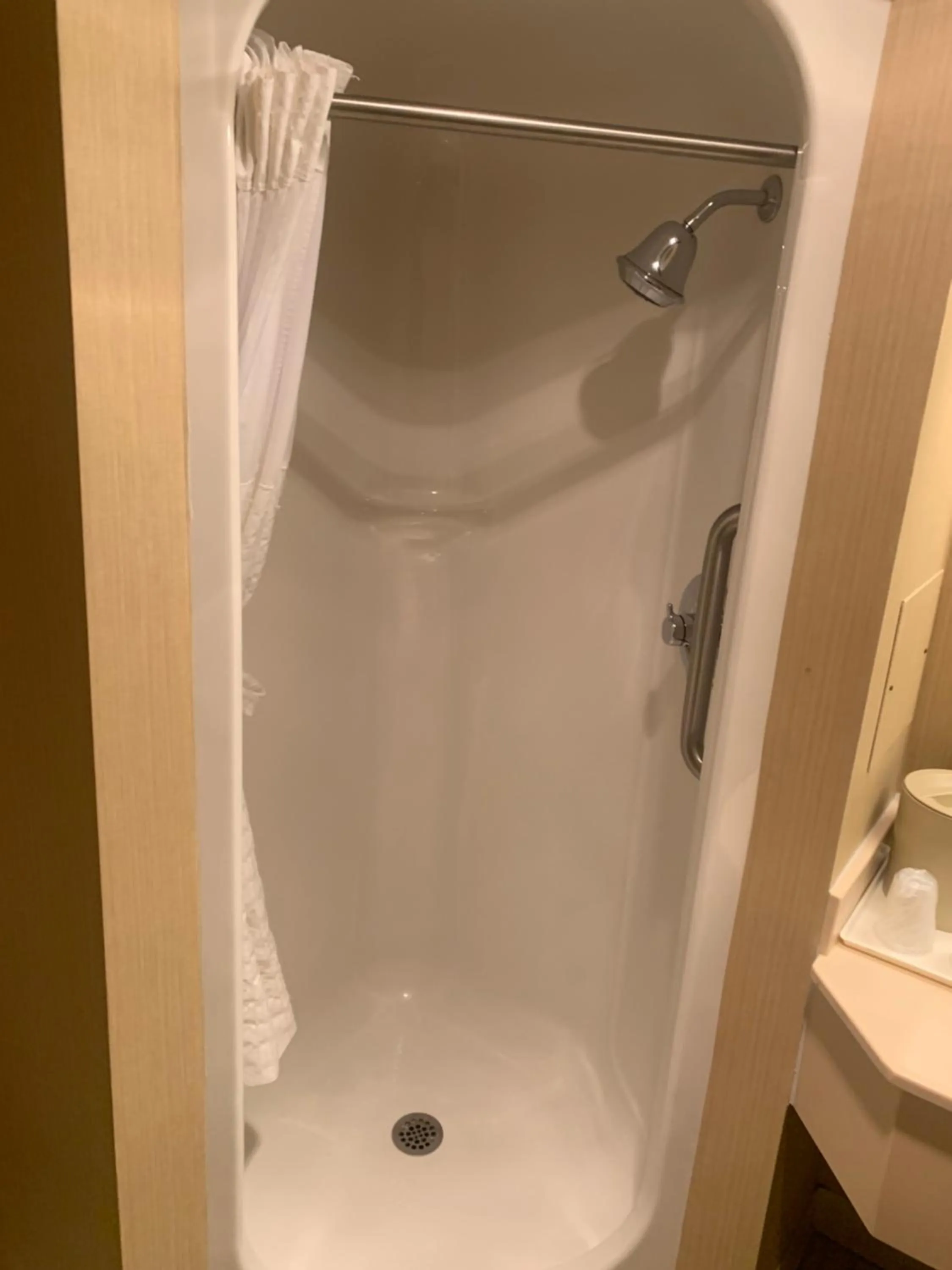 Shower in Comfort Inn Chelsea