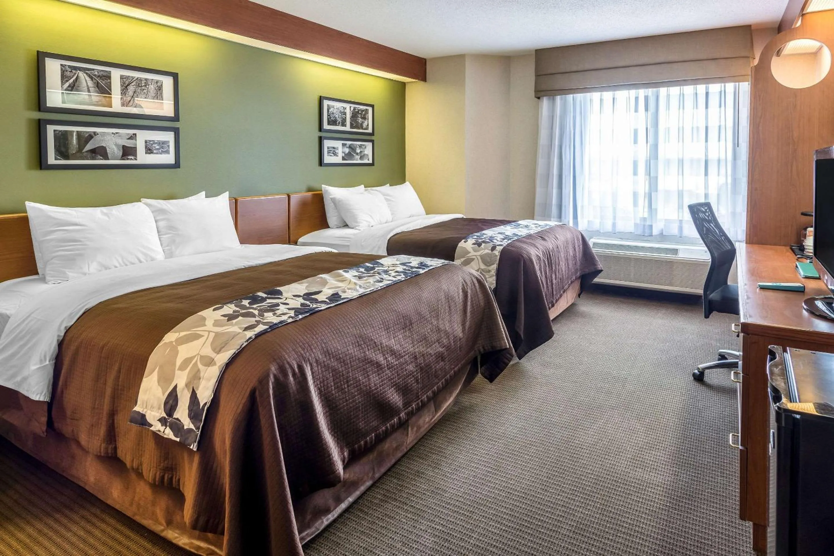 Photo of the whole room, Bed in Sleep Inn & Suites Bay View Acme - Traverse City