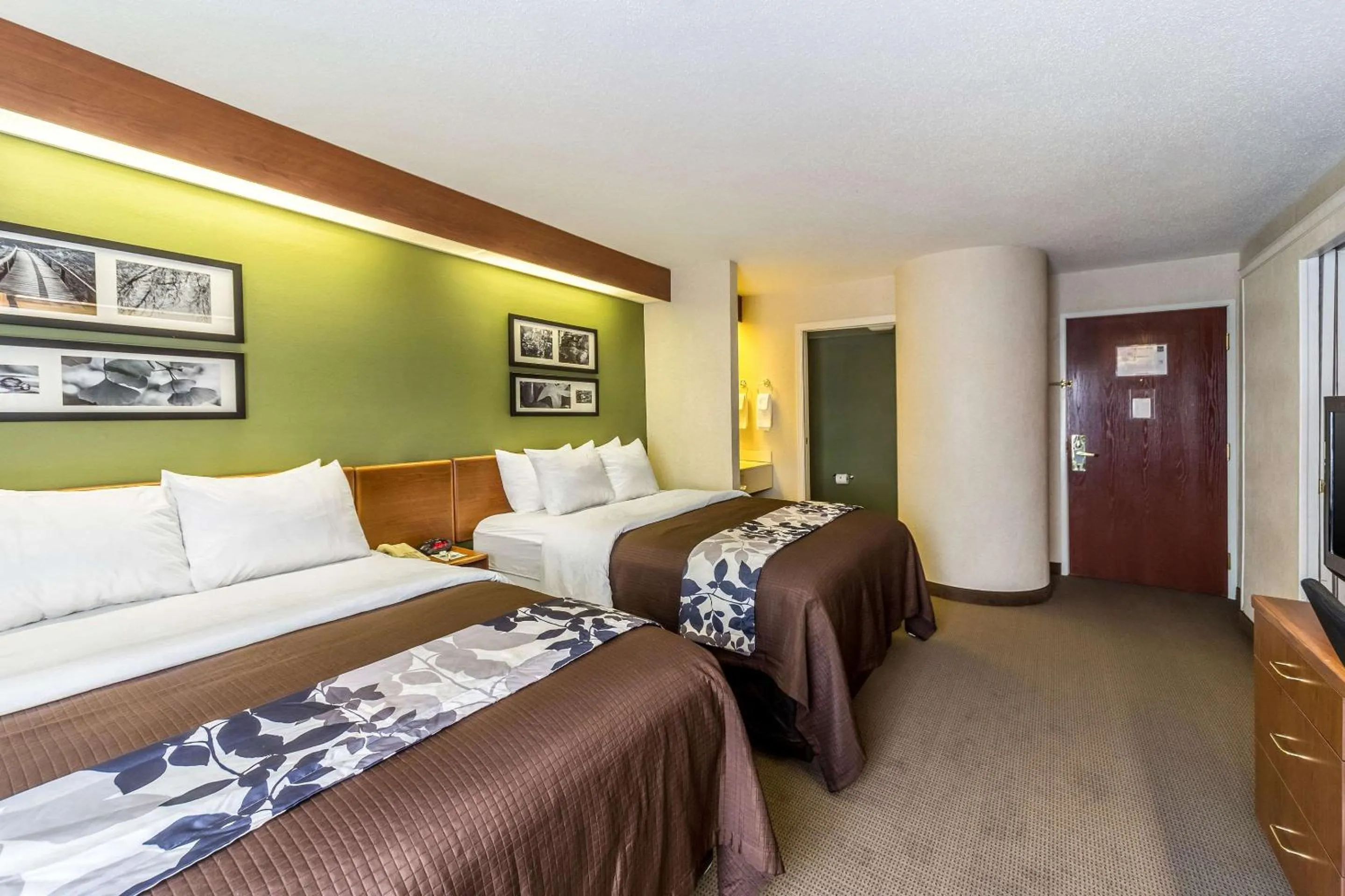 Photo of the whole room, Bed in Sleep Inn & Suites Bay View Acme - Traverse City