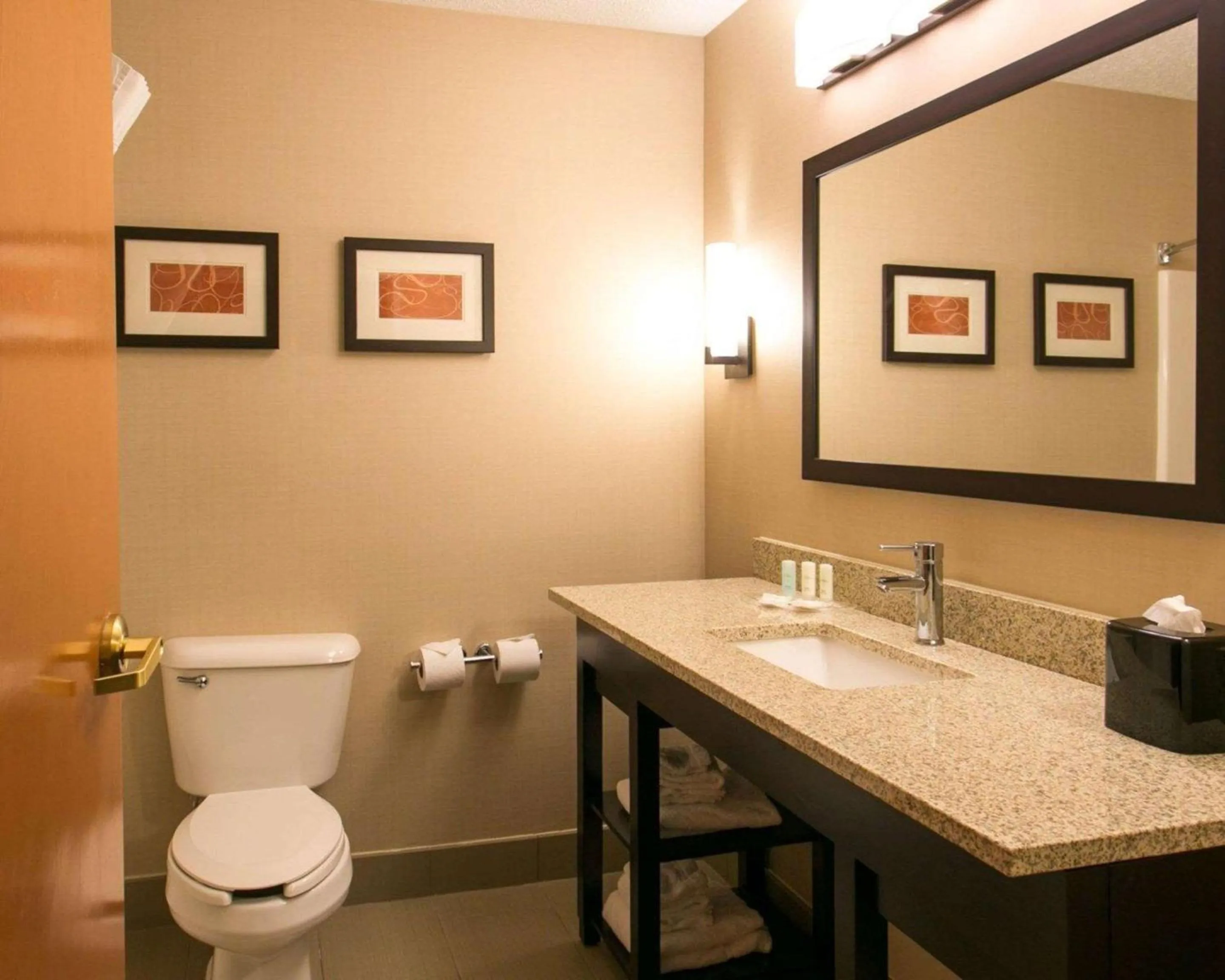 Bathroom in Comfort Suites Benton Harbor - St Joseph