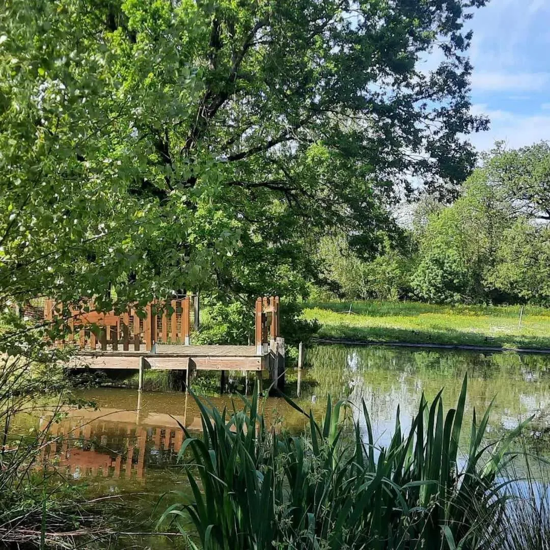 Garden in L'instant bleu