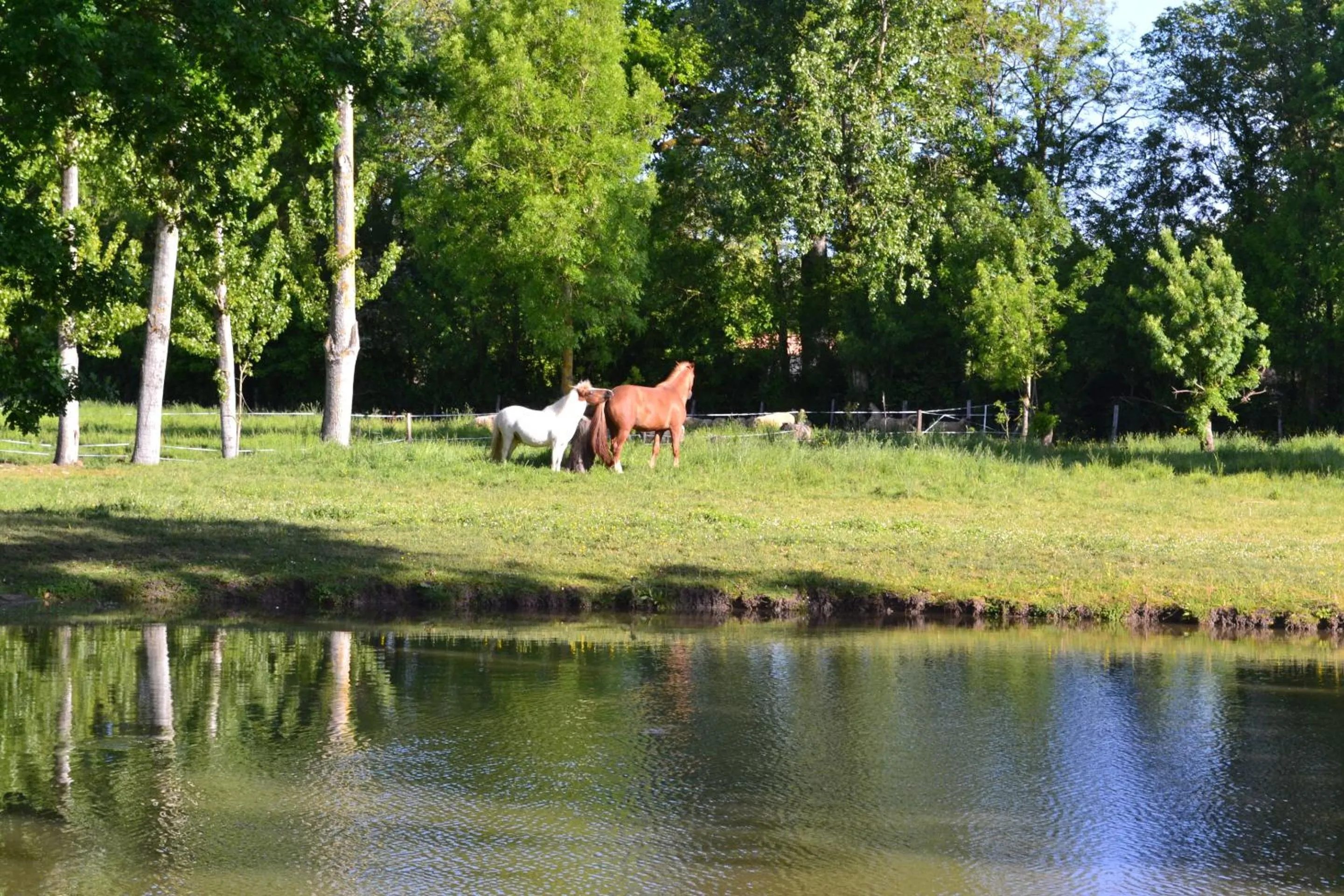 Property building in L'instant bleu