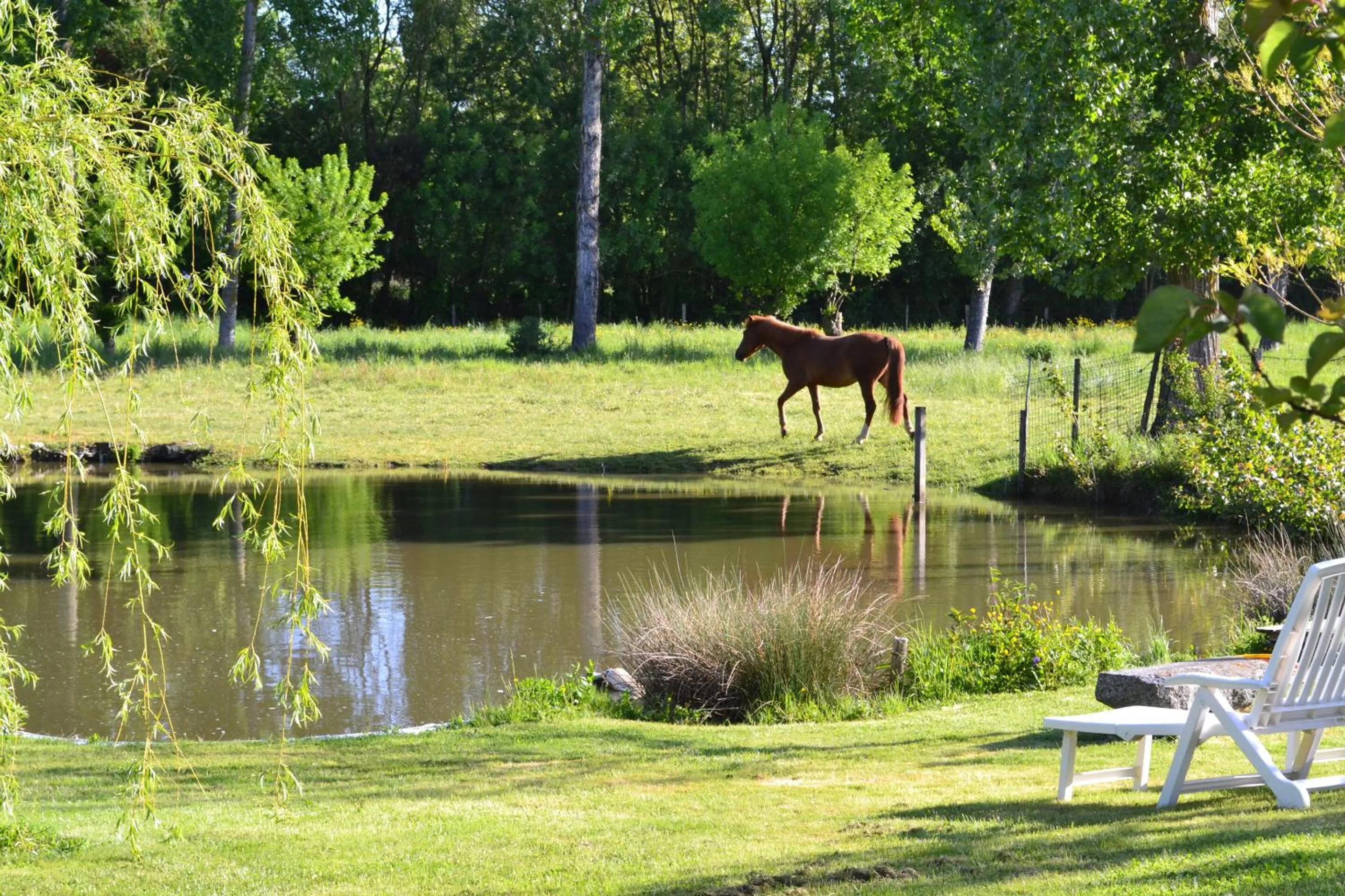 Property building in L'instant bleu