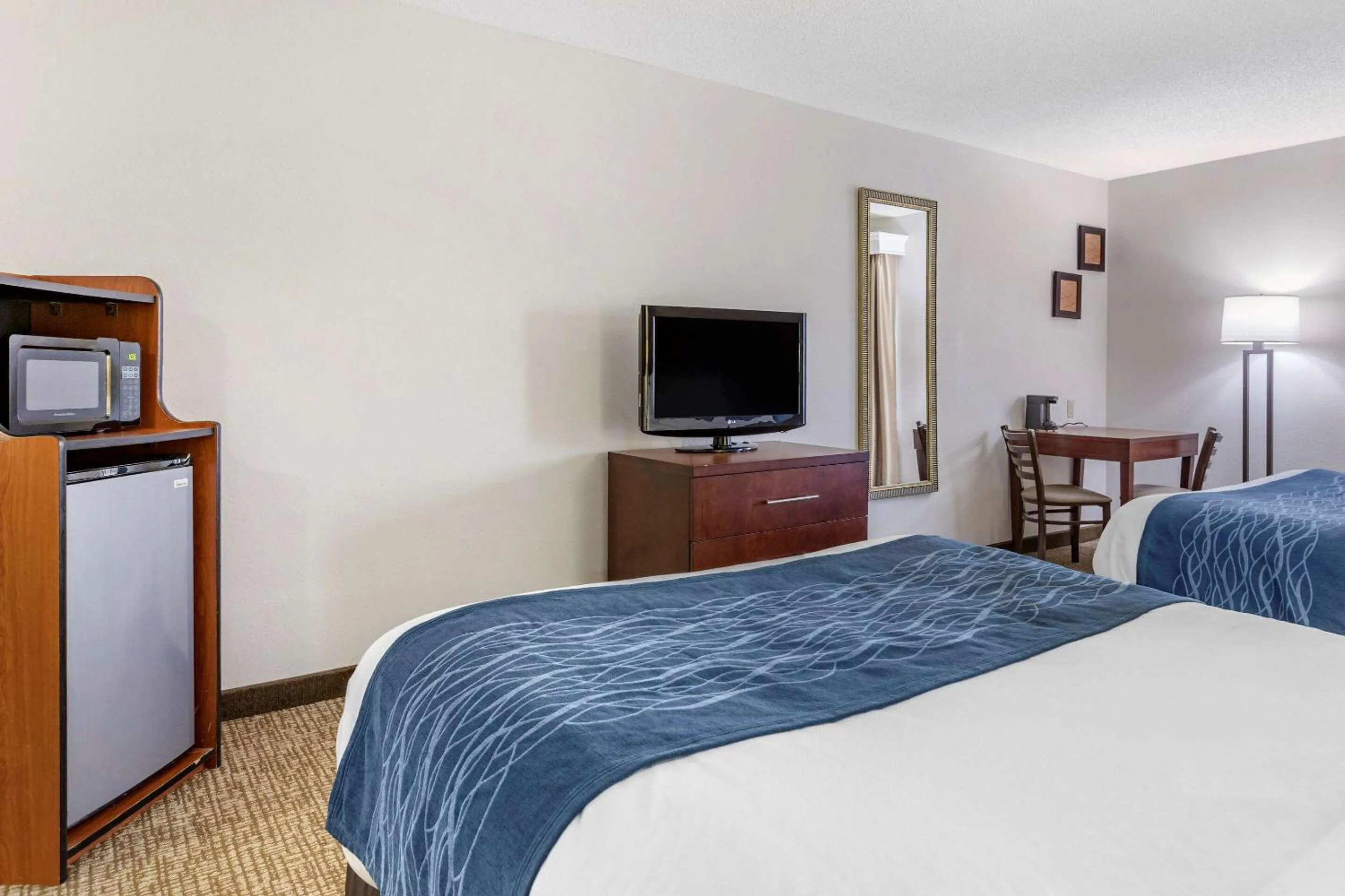 Photo of the whole room in Comfort Inn Downtown - University Area