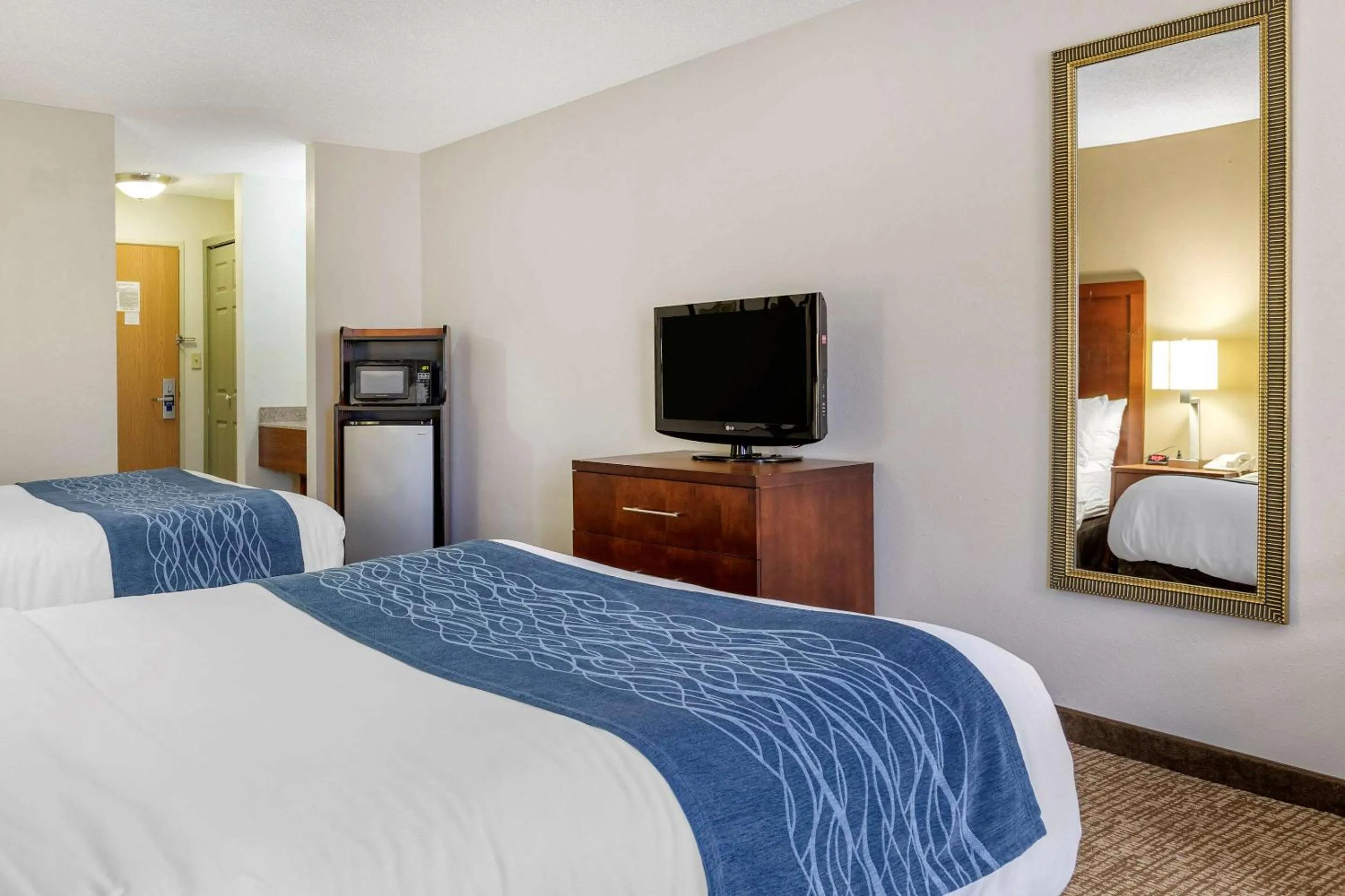 Photo of the whole room in Comfort Inn Downtown - University Area