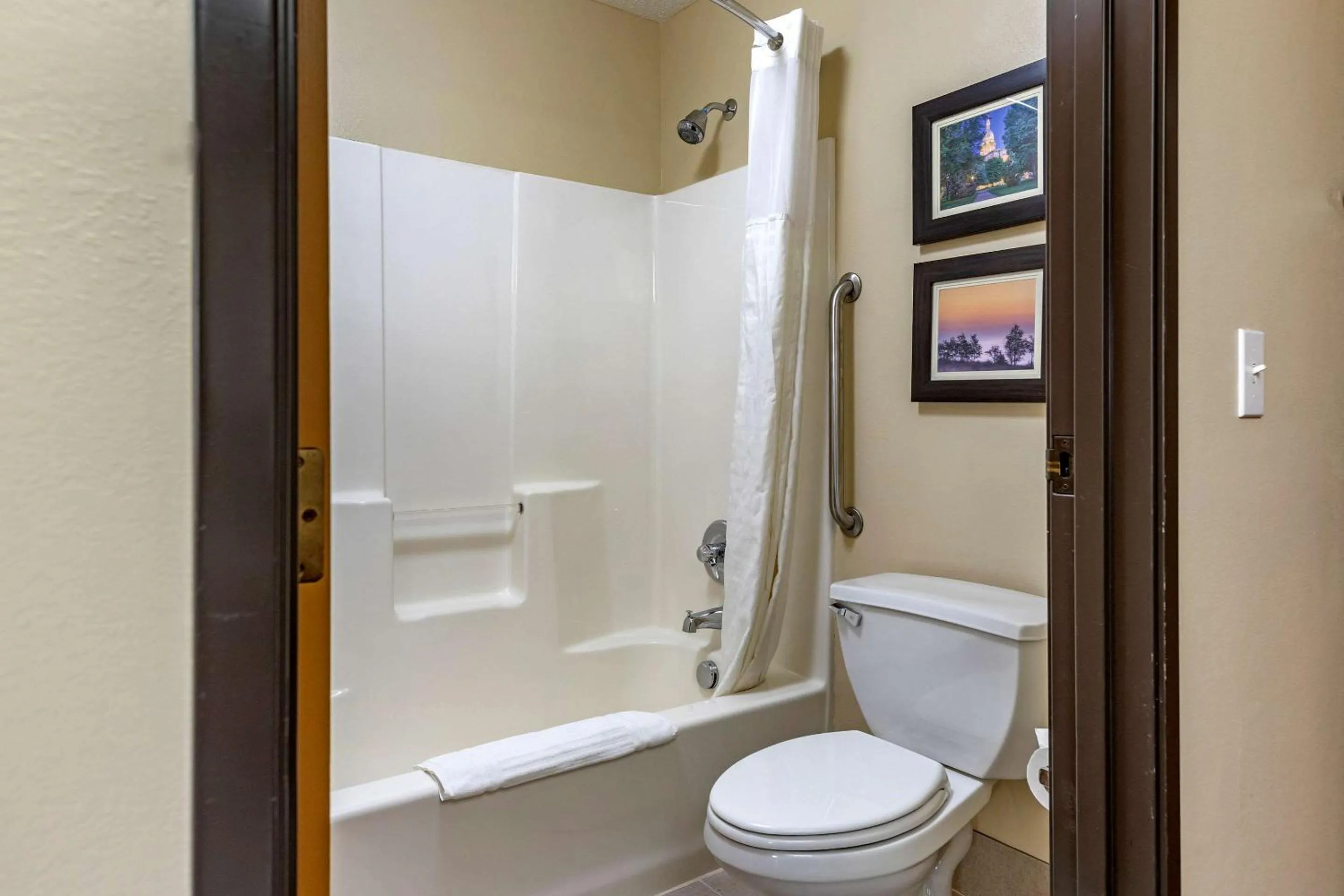 Bathroom in Comfort Inn & Suites Dimondale - Lansing
