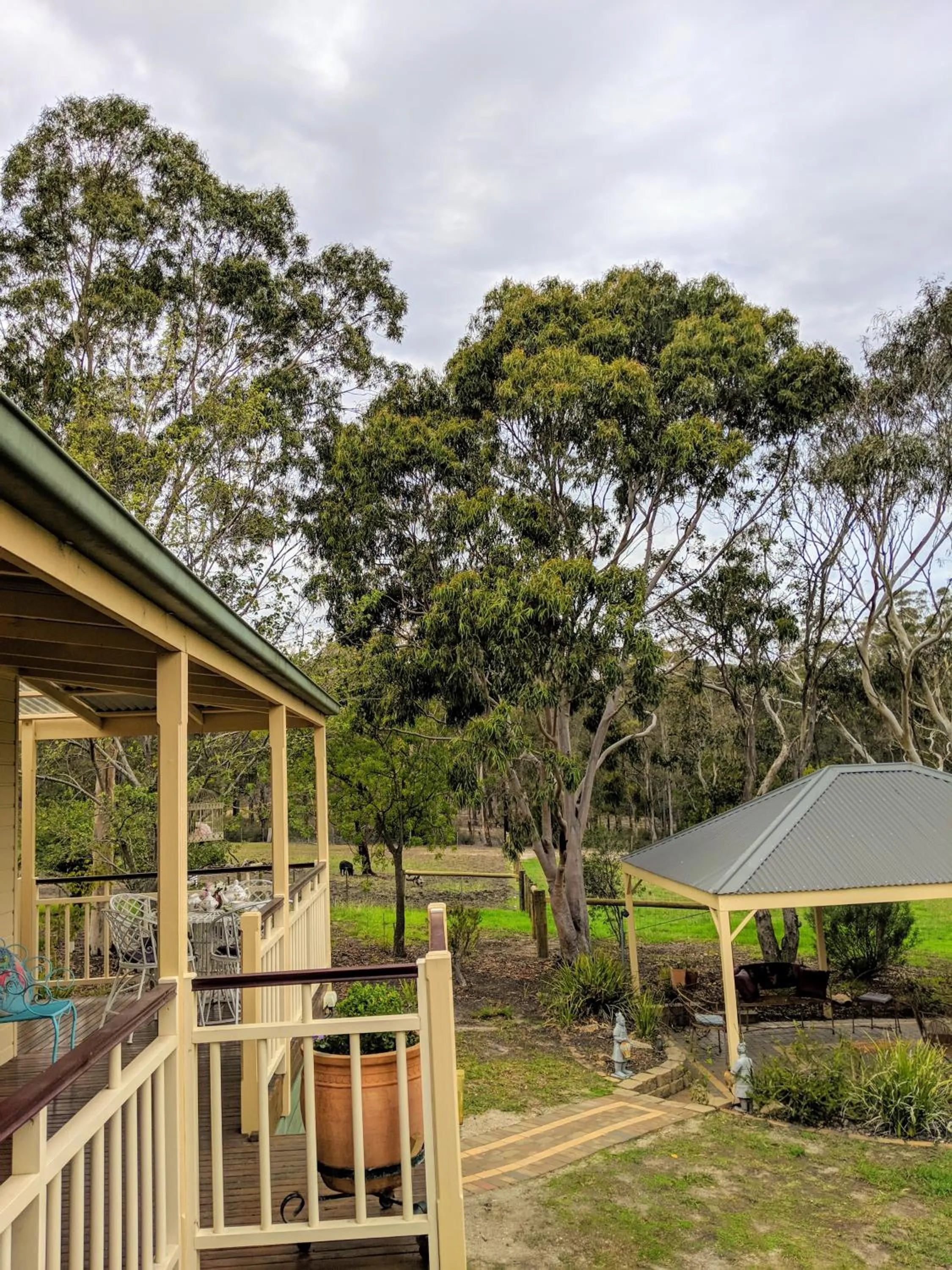 Garden in Nicholson BnB and Arts Centre